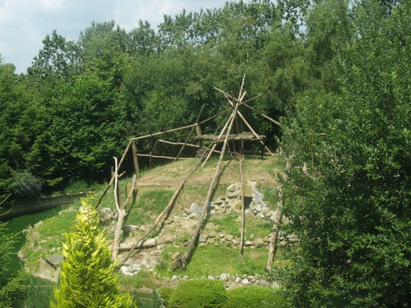 Gibbon island from the Casa Panthera attic (July 4th, 2009)