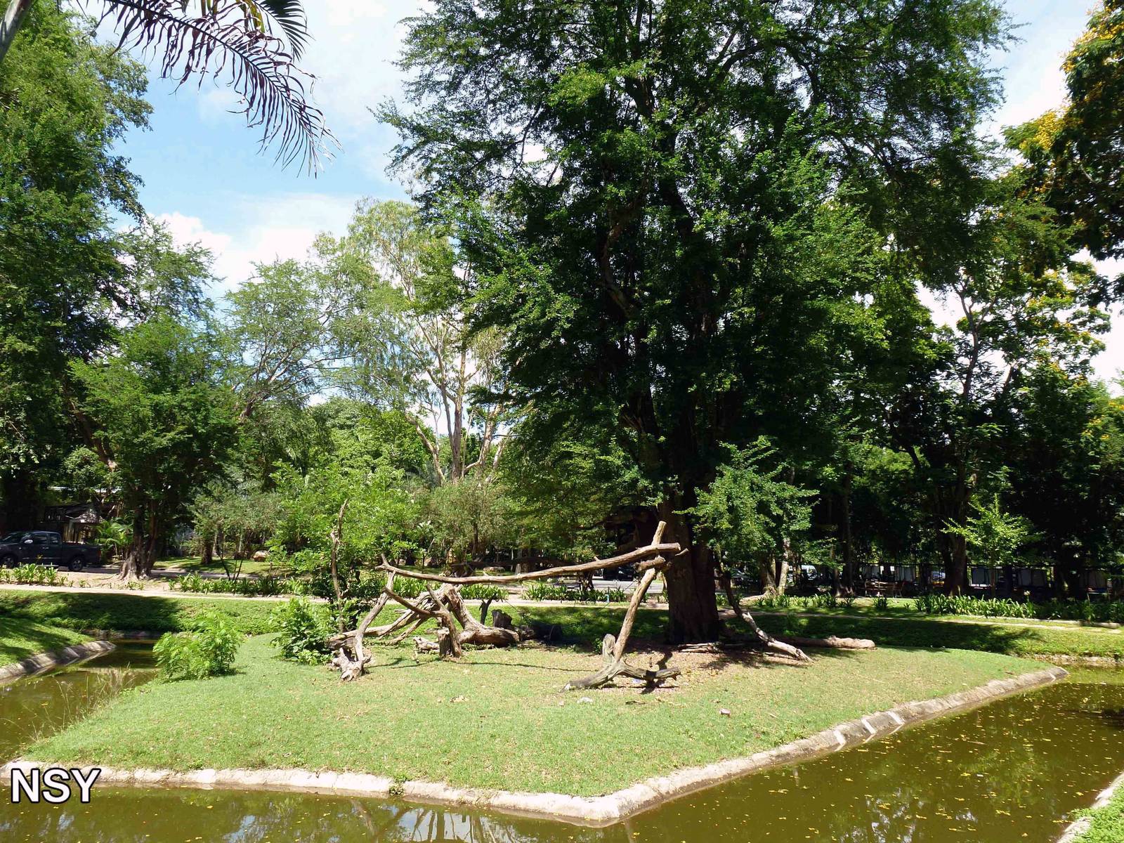 Gibbon island, June 2013.