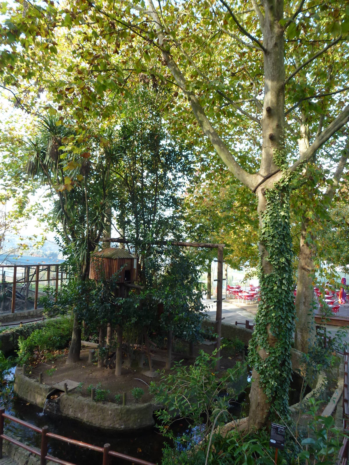 Gibbon island, November 2013.