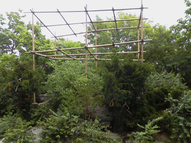 Gibbon Island- Siamang Island