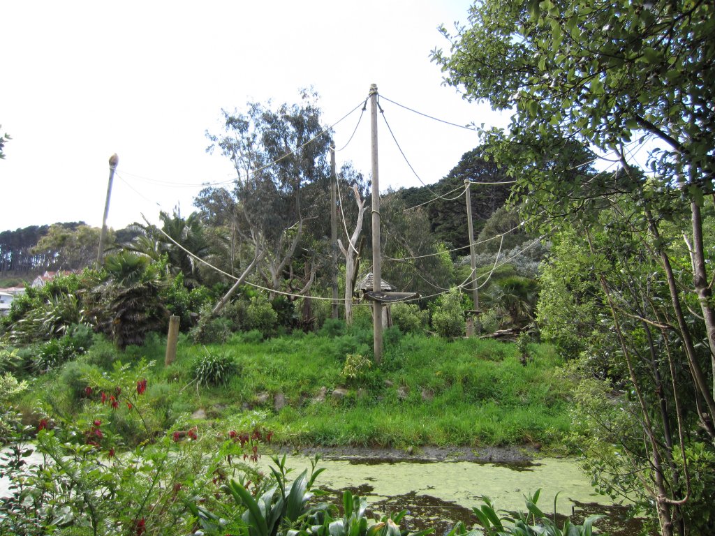 Gibbon Island