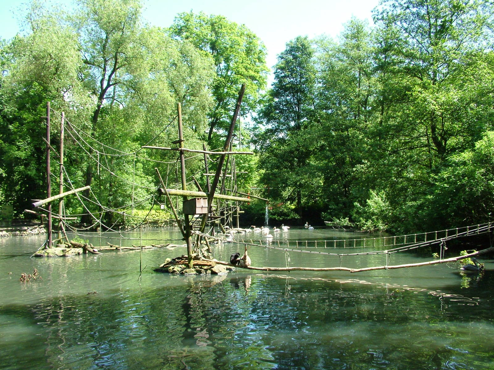 Gibbon Islands at Zlin, 28/05/10