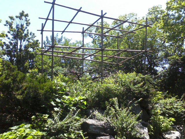 Gibbon Islands- Buff-cheeked Gibbon exhibit
