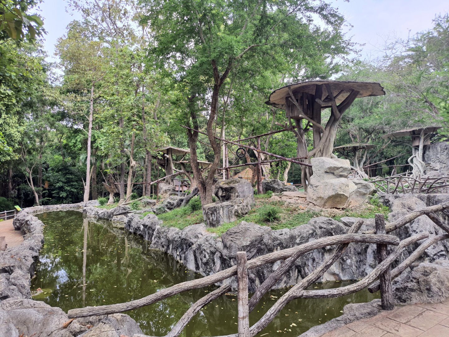 Gibbon Islands- Chiang Mai Zoo