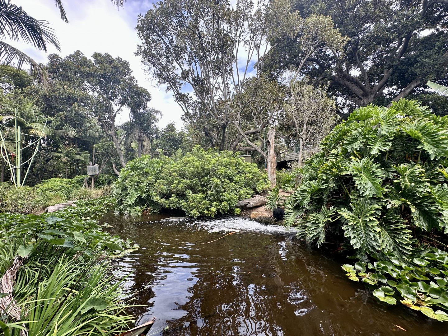 Gibbon Islands (Siamang End)