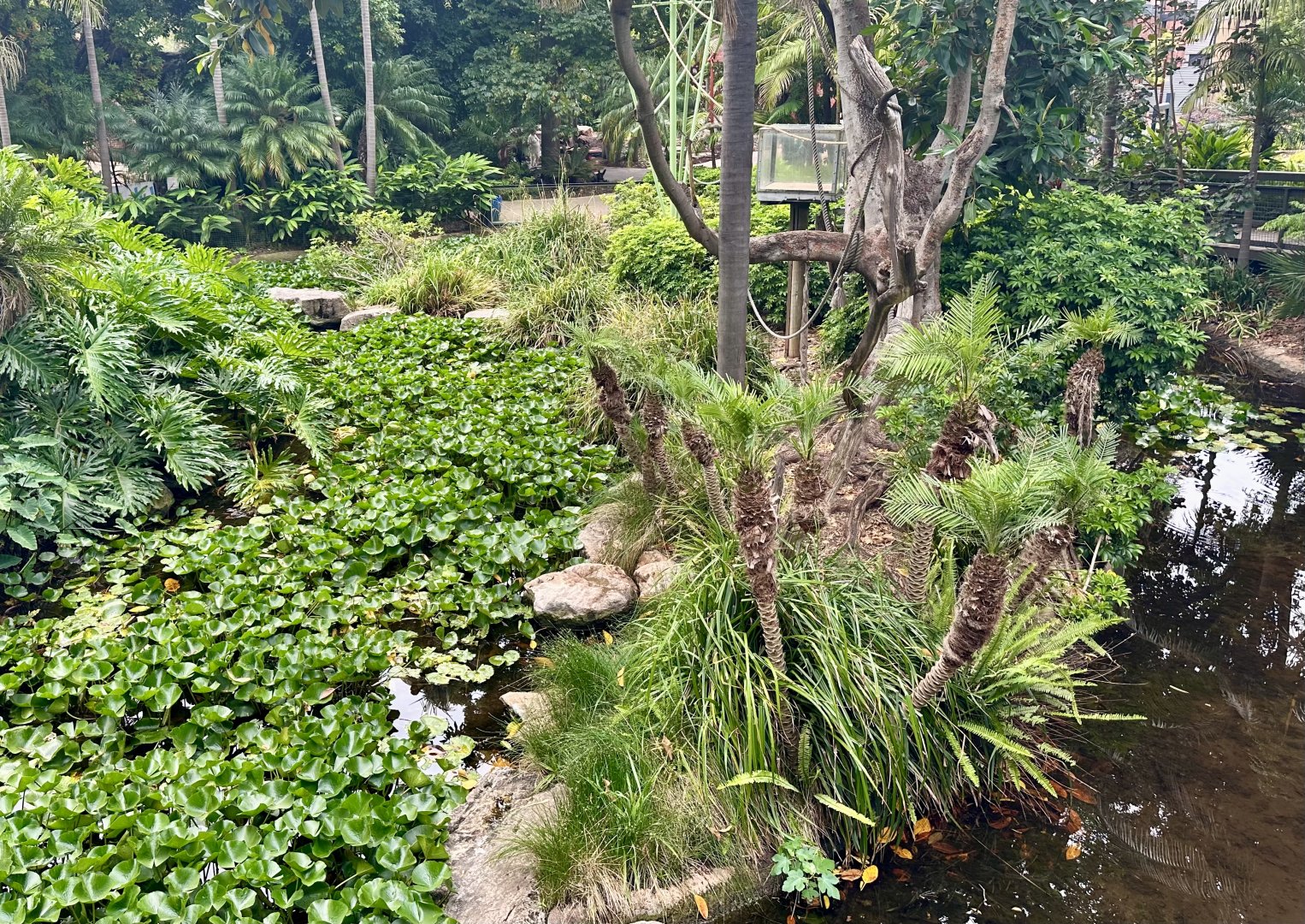 Gibbon Islands (White-Cheeked Gibbon End)