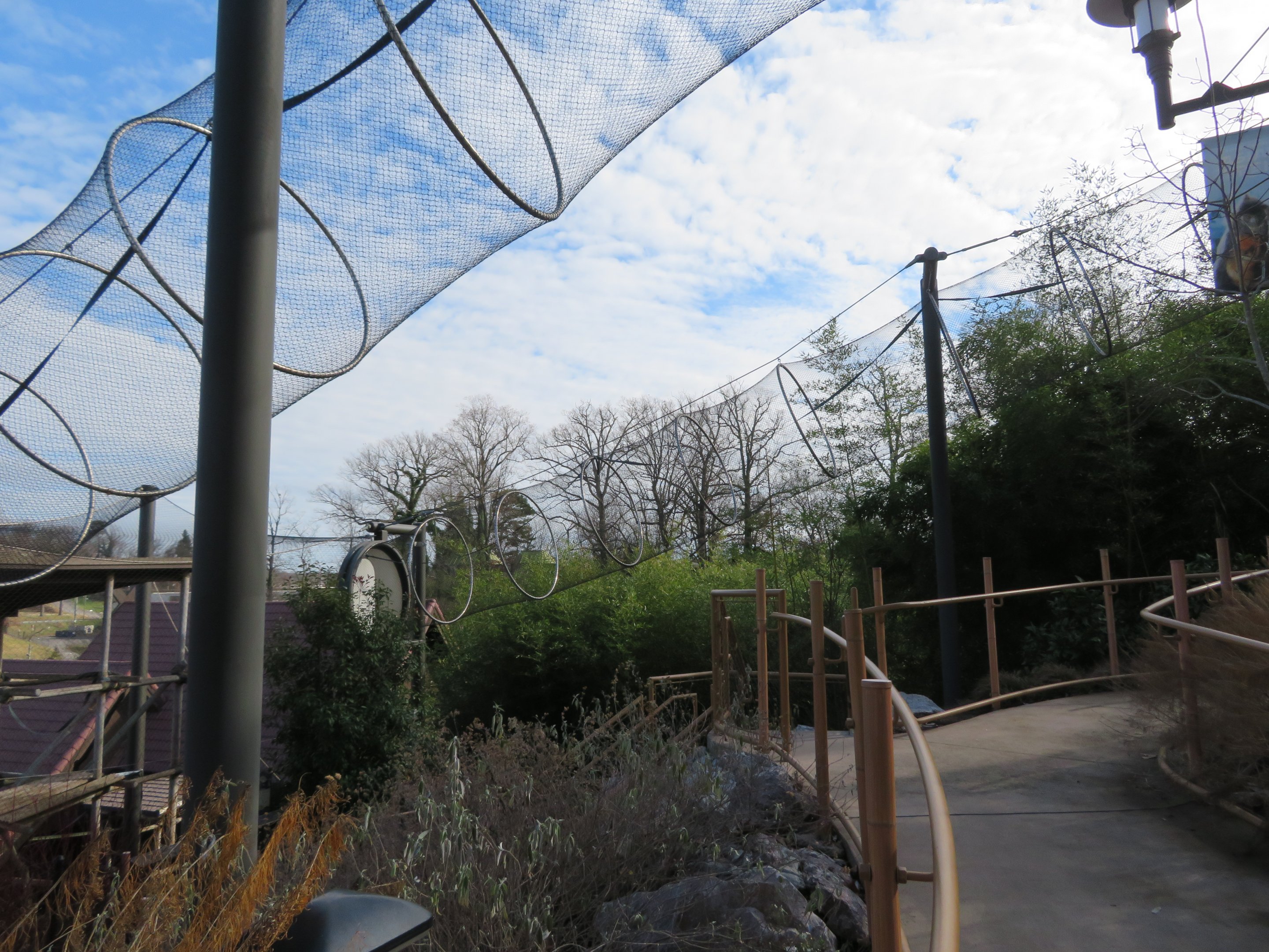 Gibbon/Monkey Overhead Paths