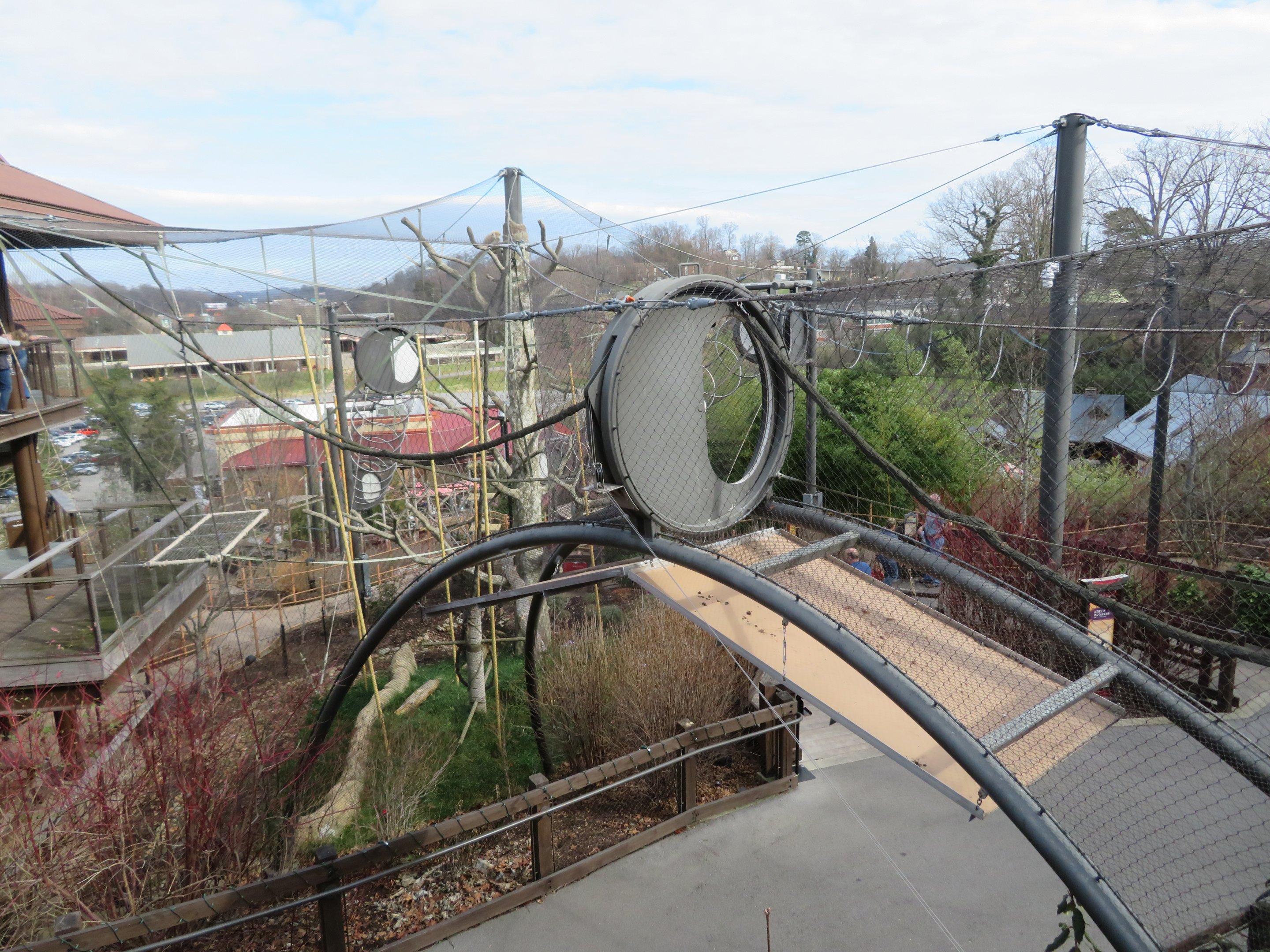 Gibbon/Monkey Overhead Pathway