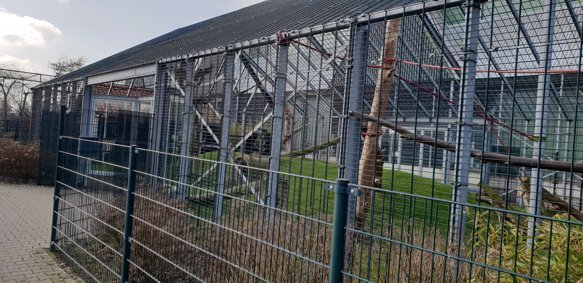 Gibbon Muntjac - enclosure