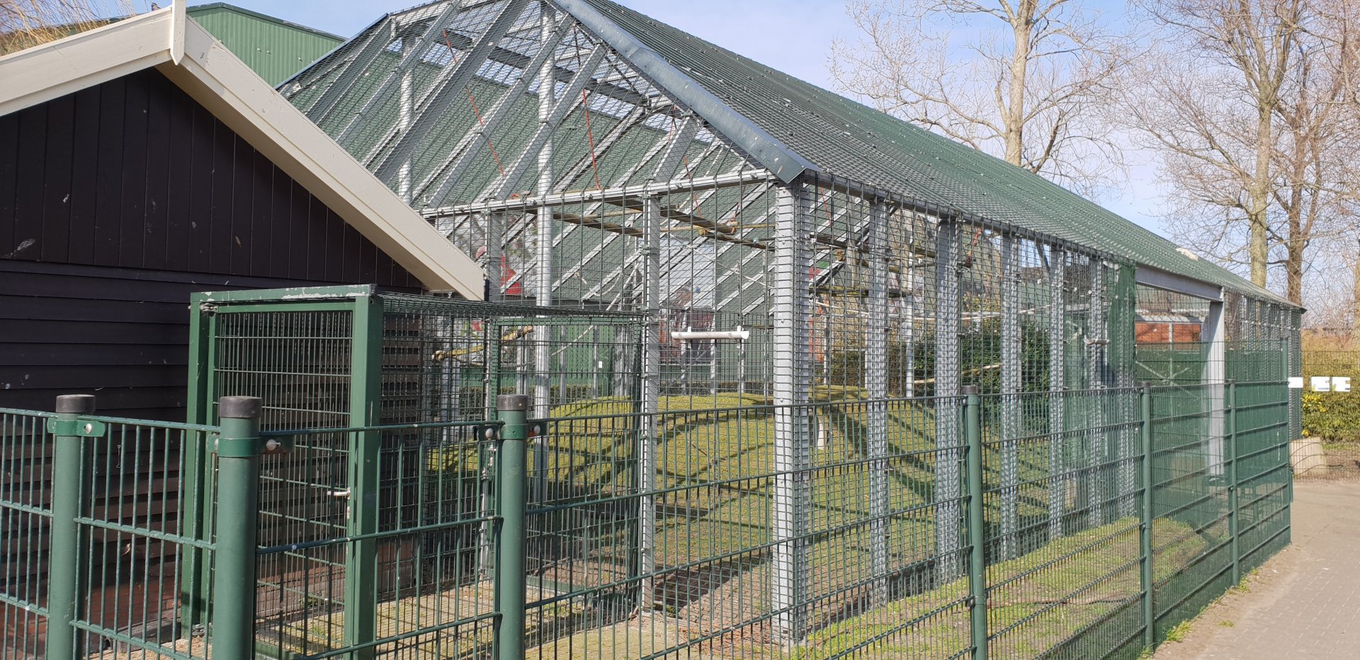 Gibbon Muntjac - enclosure