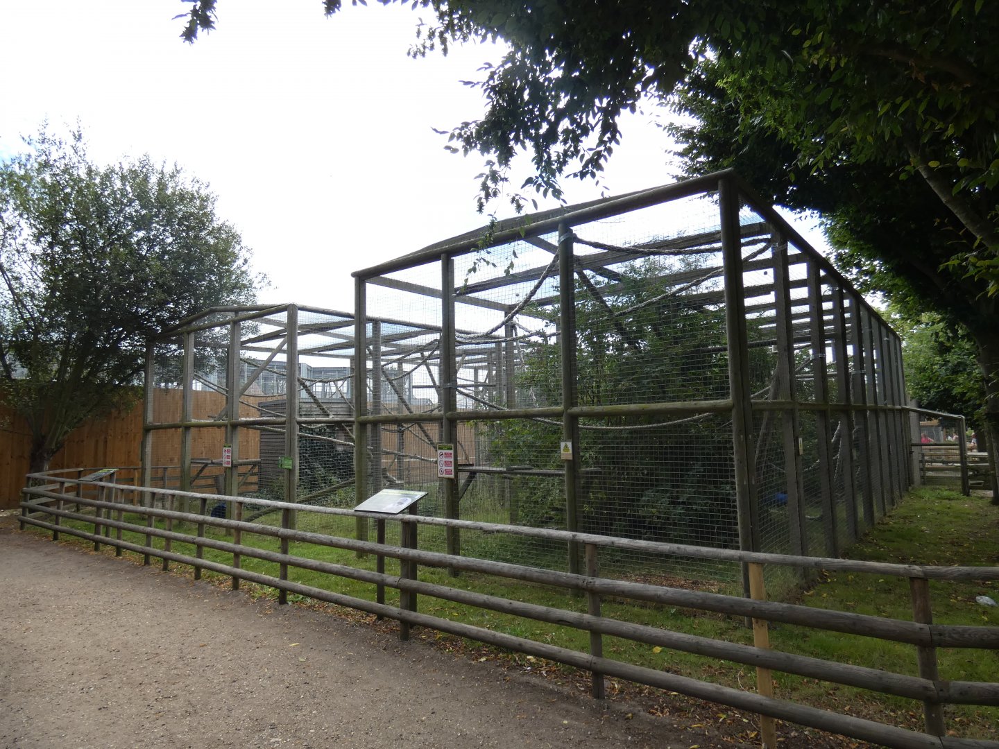 Gibbon outdoor enclosure