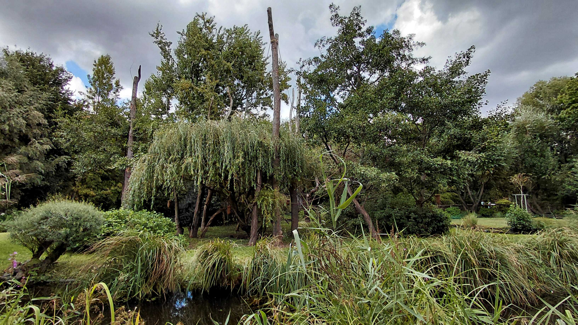 Gibbon outdoor exhibit