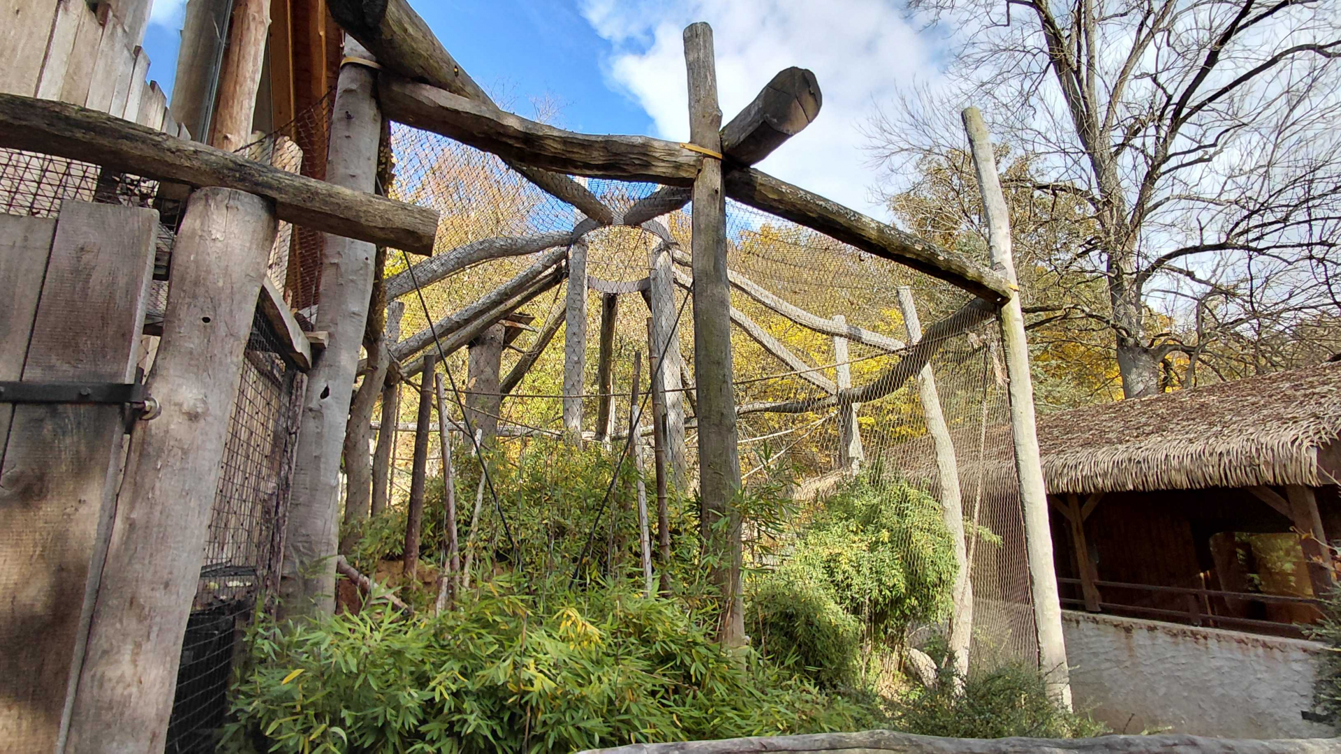 Gibbon outdoor exhibit