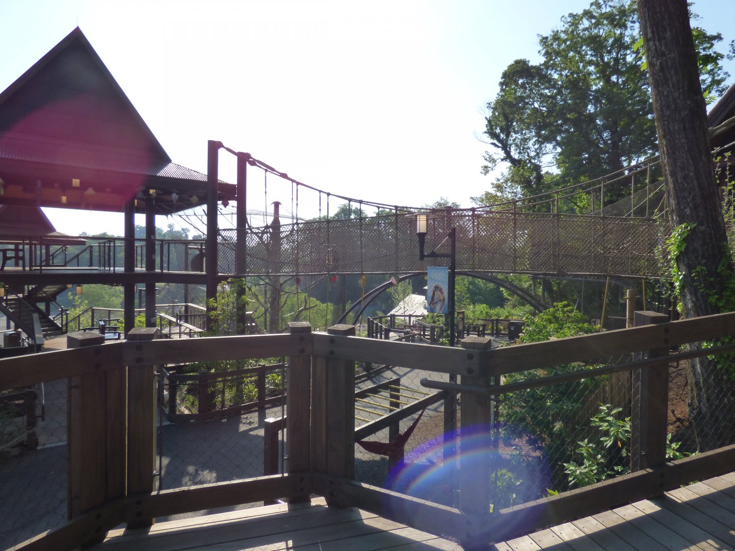 Gibbon Trails - May 2018