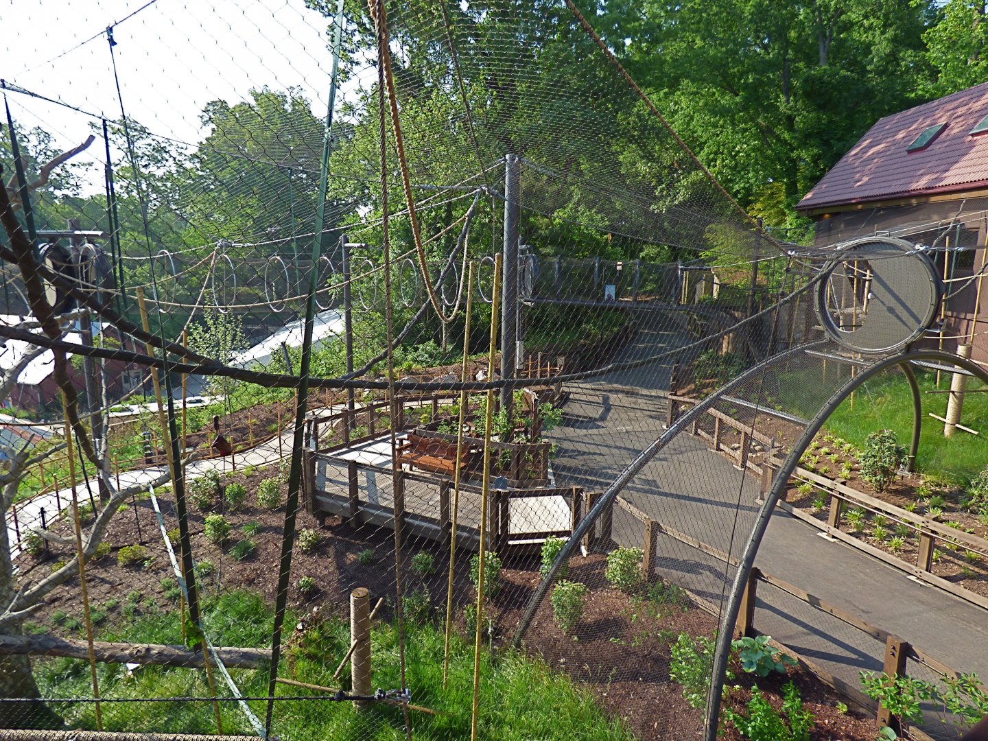 Gibbon Trails - May 2018