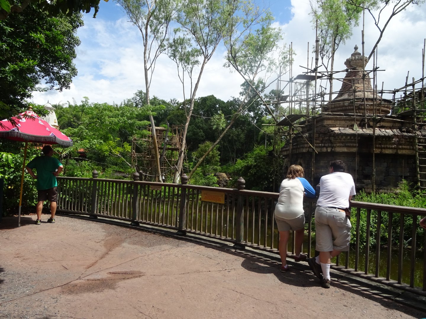 Gibbon Viewing Area at Disney's Animal Kingdom (2014)