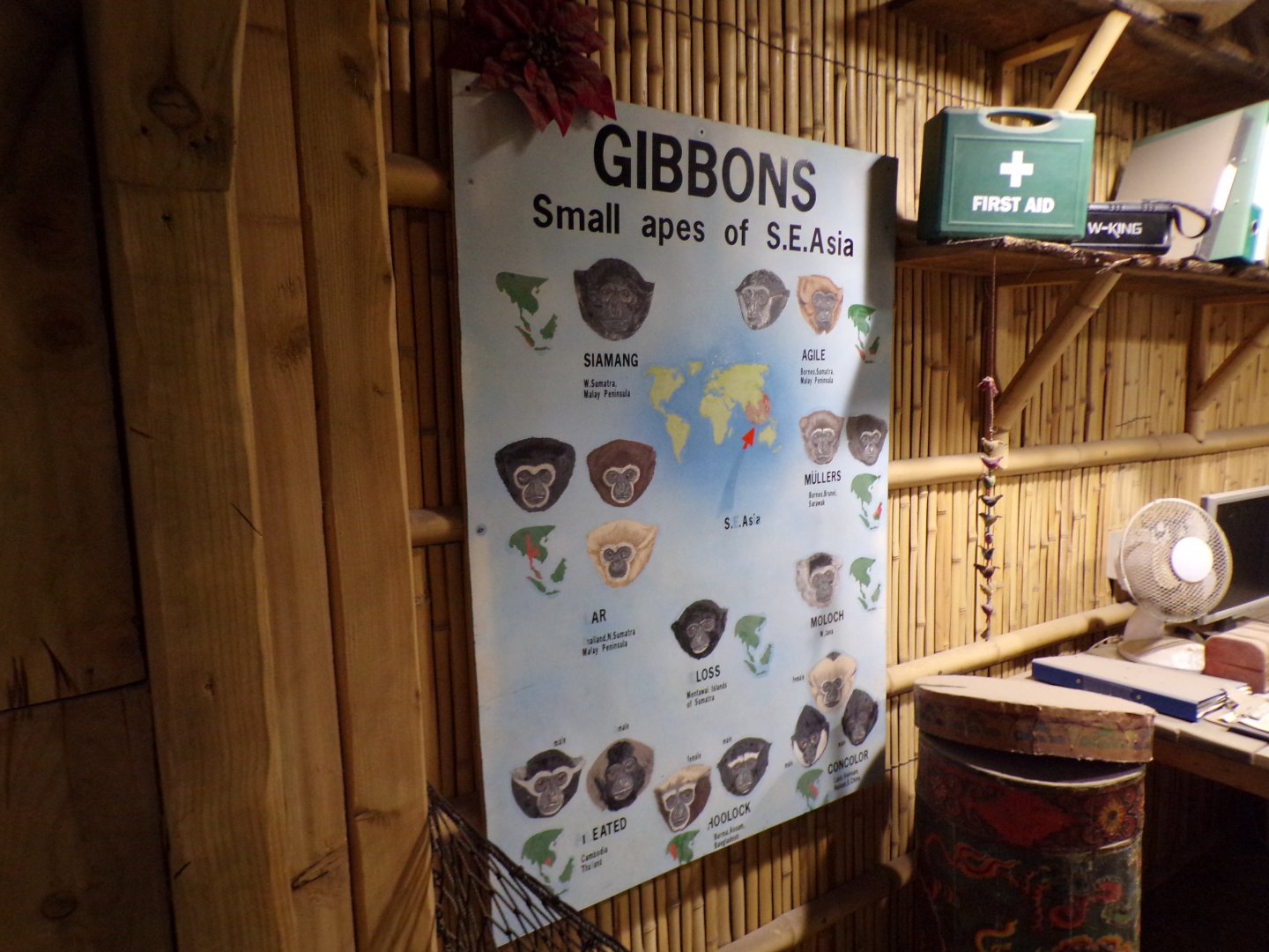 Gibbons id signage (awful) 7.7.24