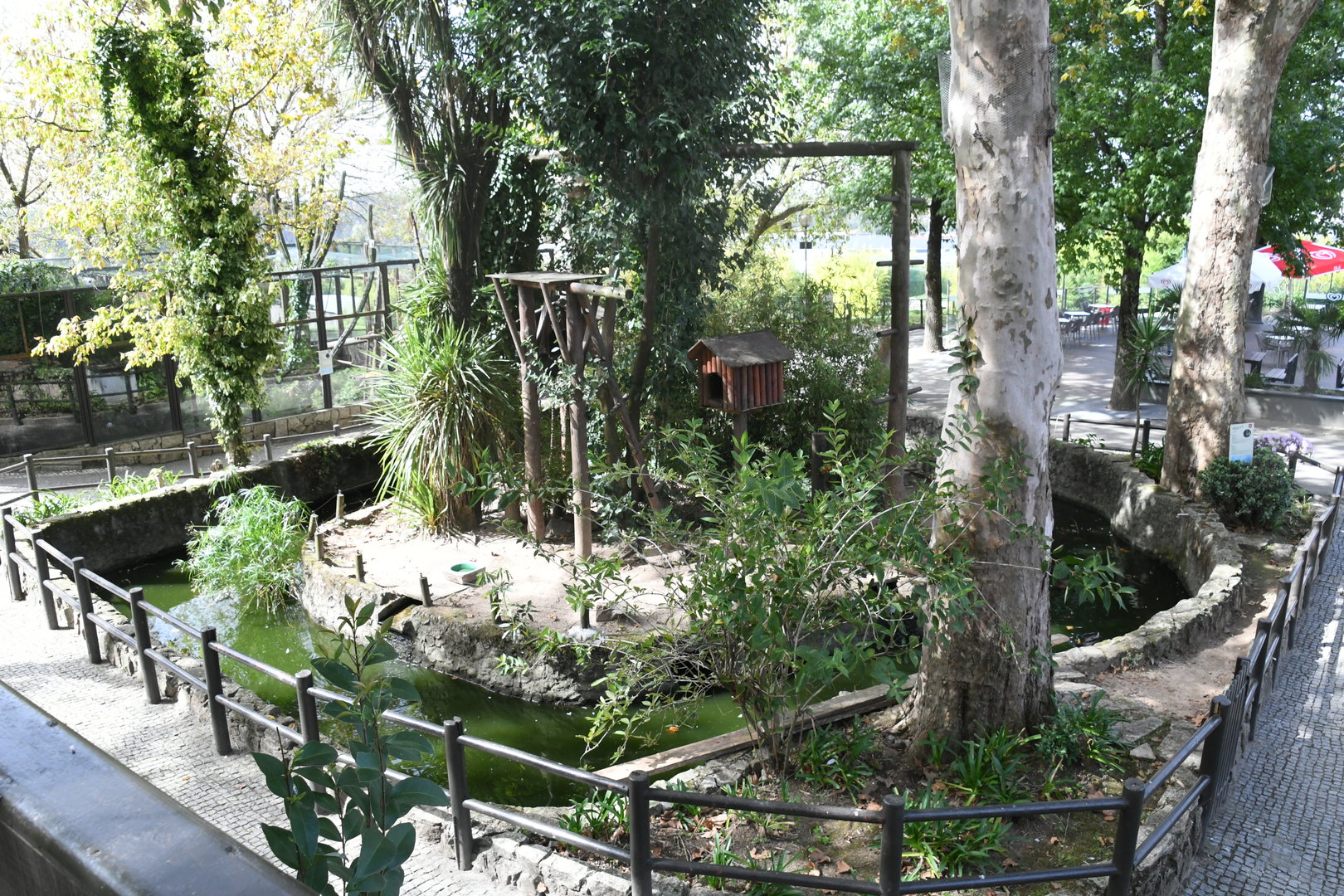 Gibbons Island (Lar Gibbons)