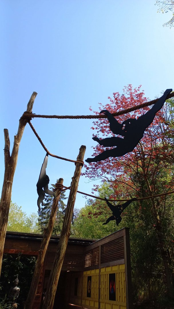 Gibonika - decoration