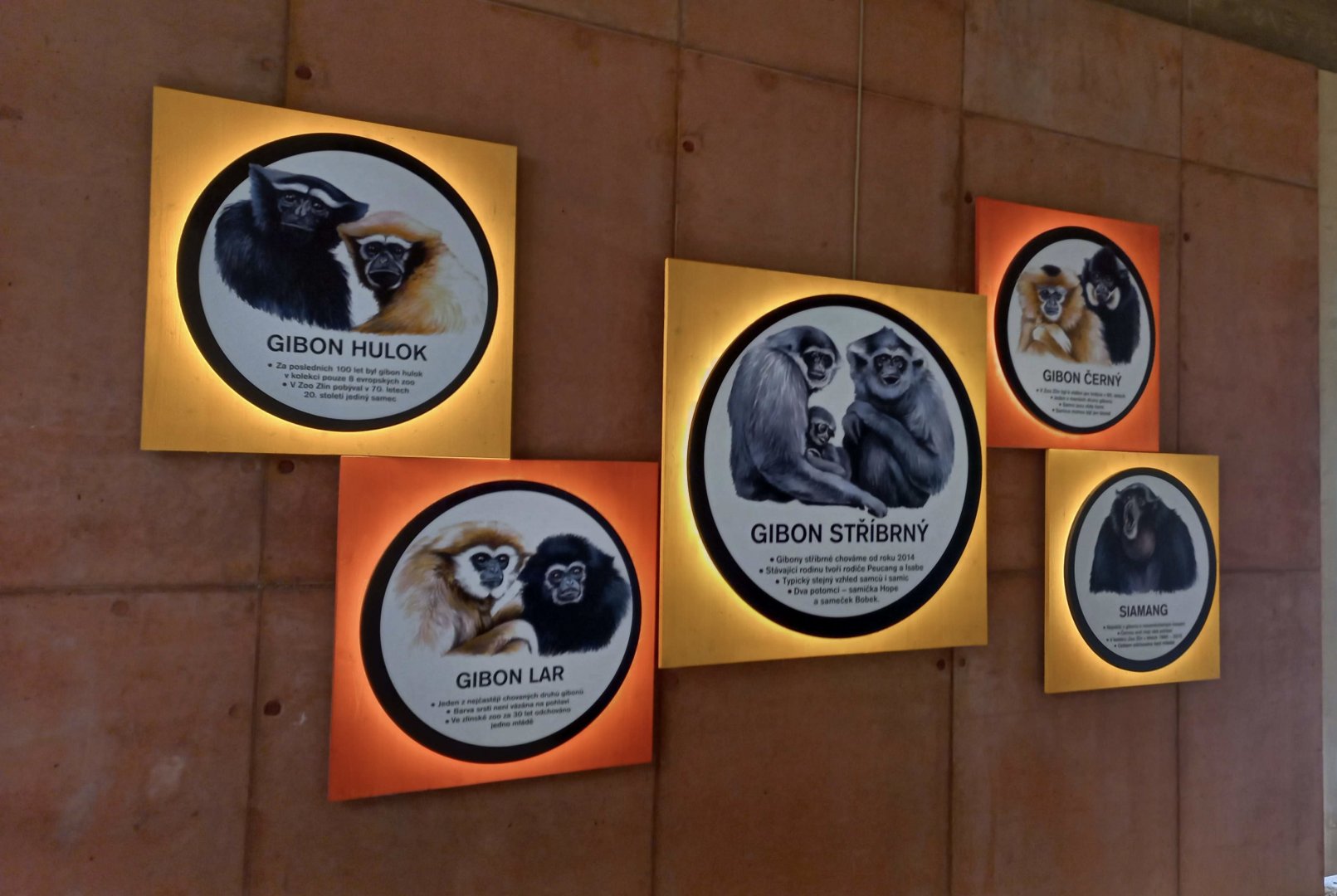 Gibonika - information pannels