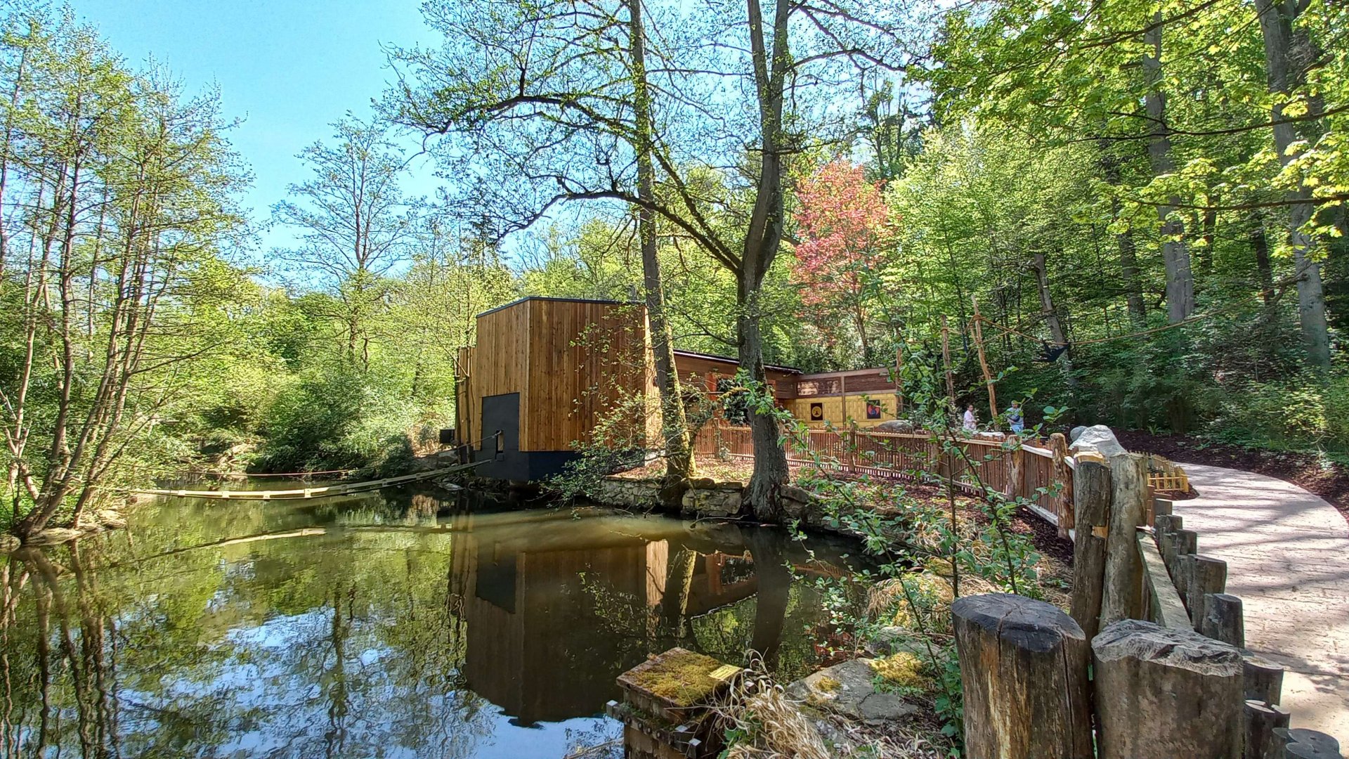 Gibonika - silvery gibbon exhibit