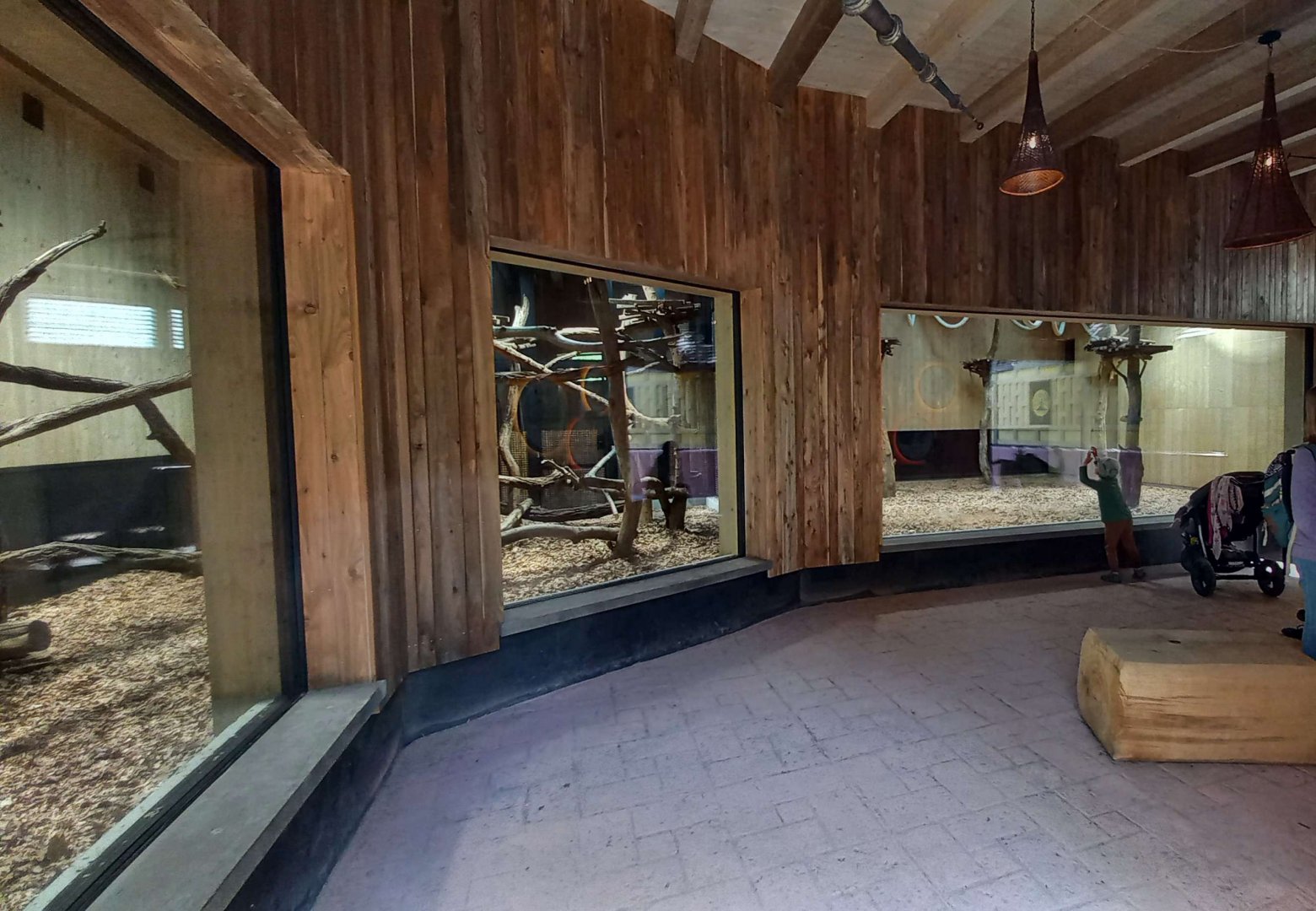 Gibonika - silvery gibbon exhibit