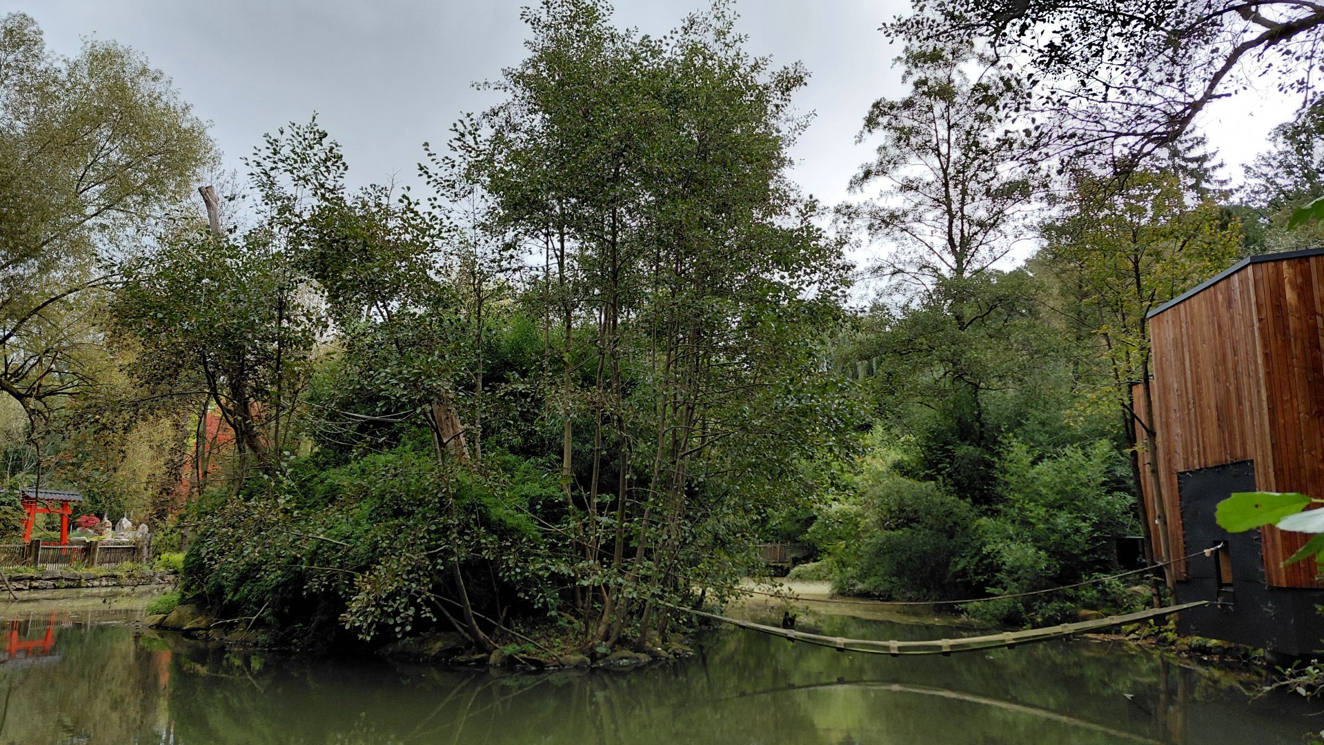 Gibonika - silvery gibbon island