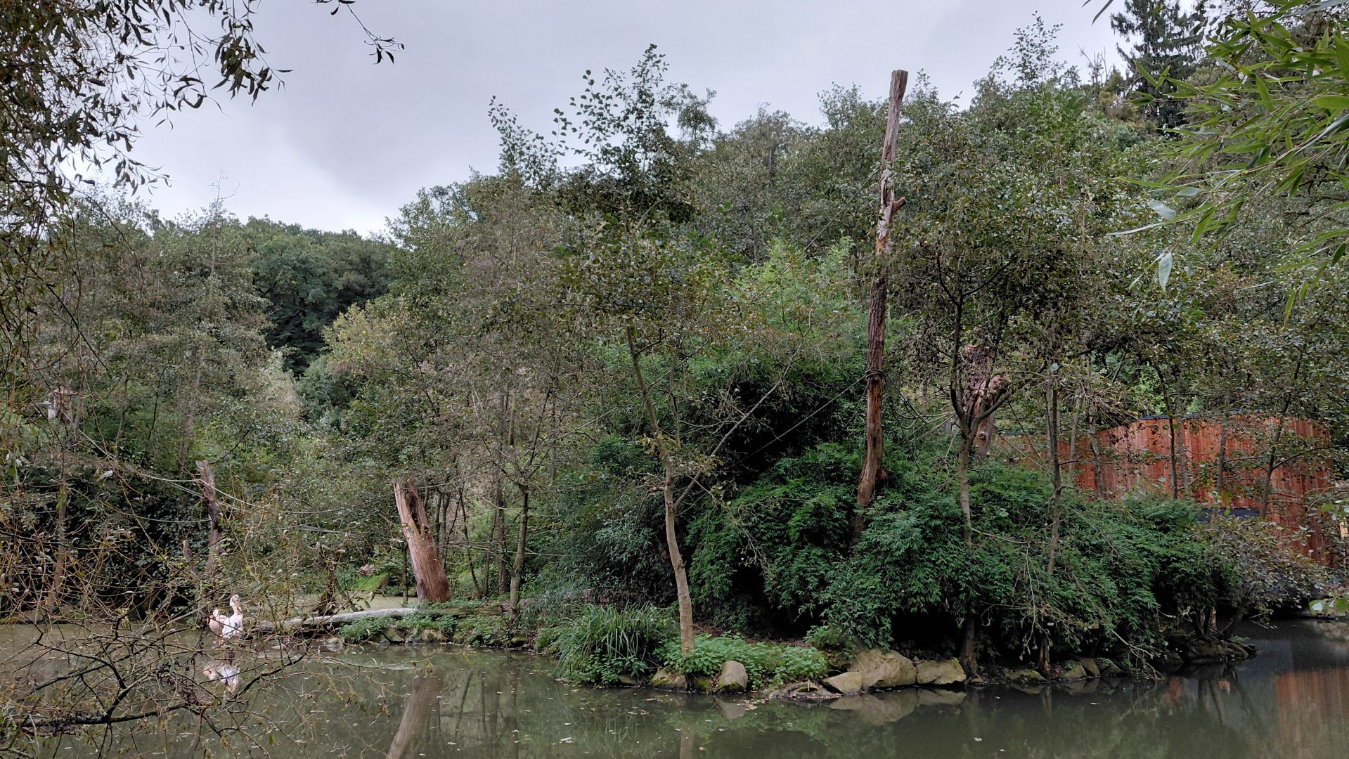 Gibonika - silvery gibbon islands