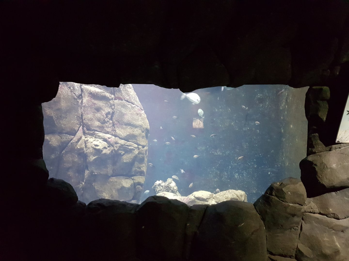 Gibraltar-aquarium