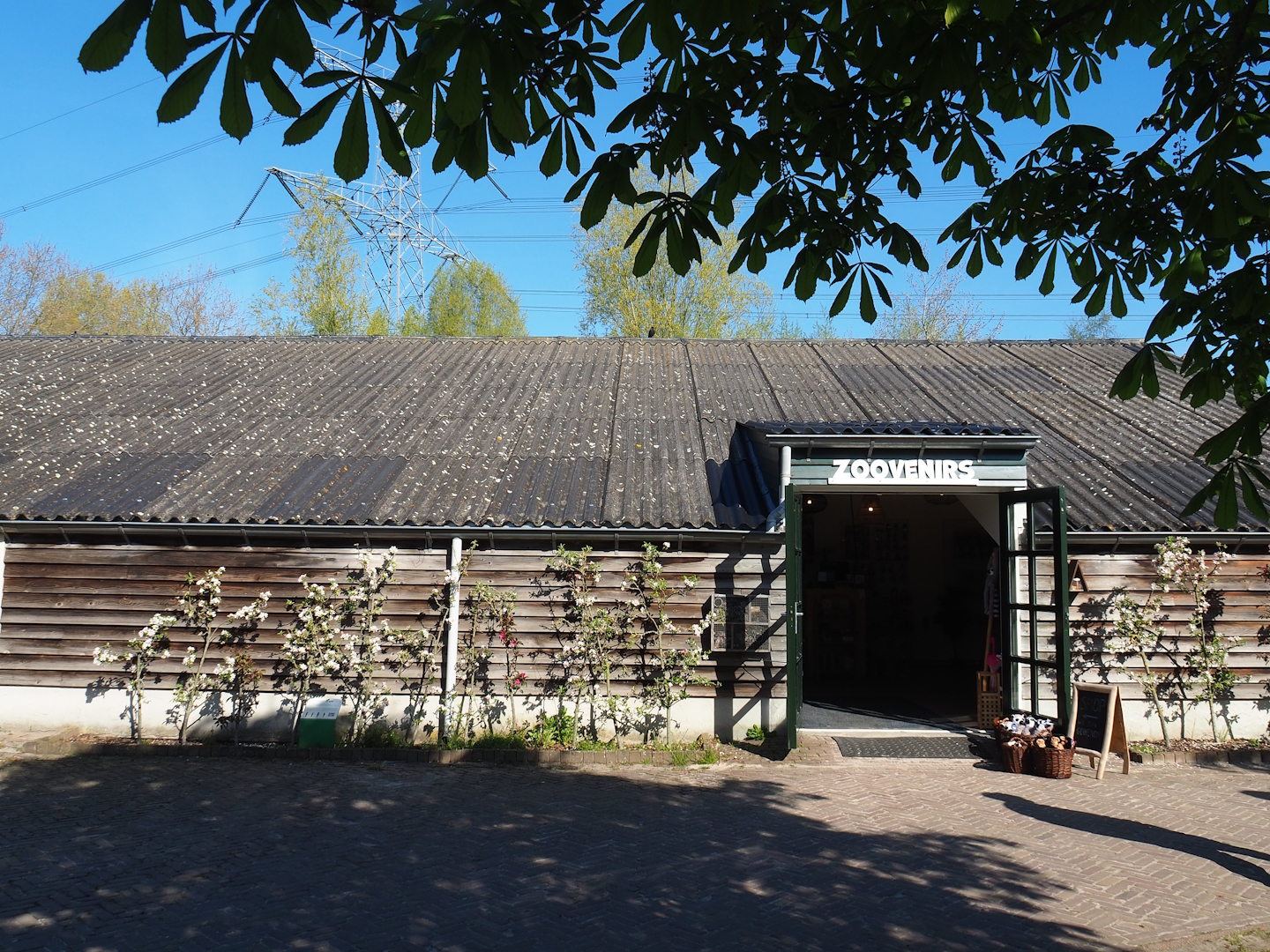 Gift shop, 2023-04-30