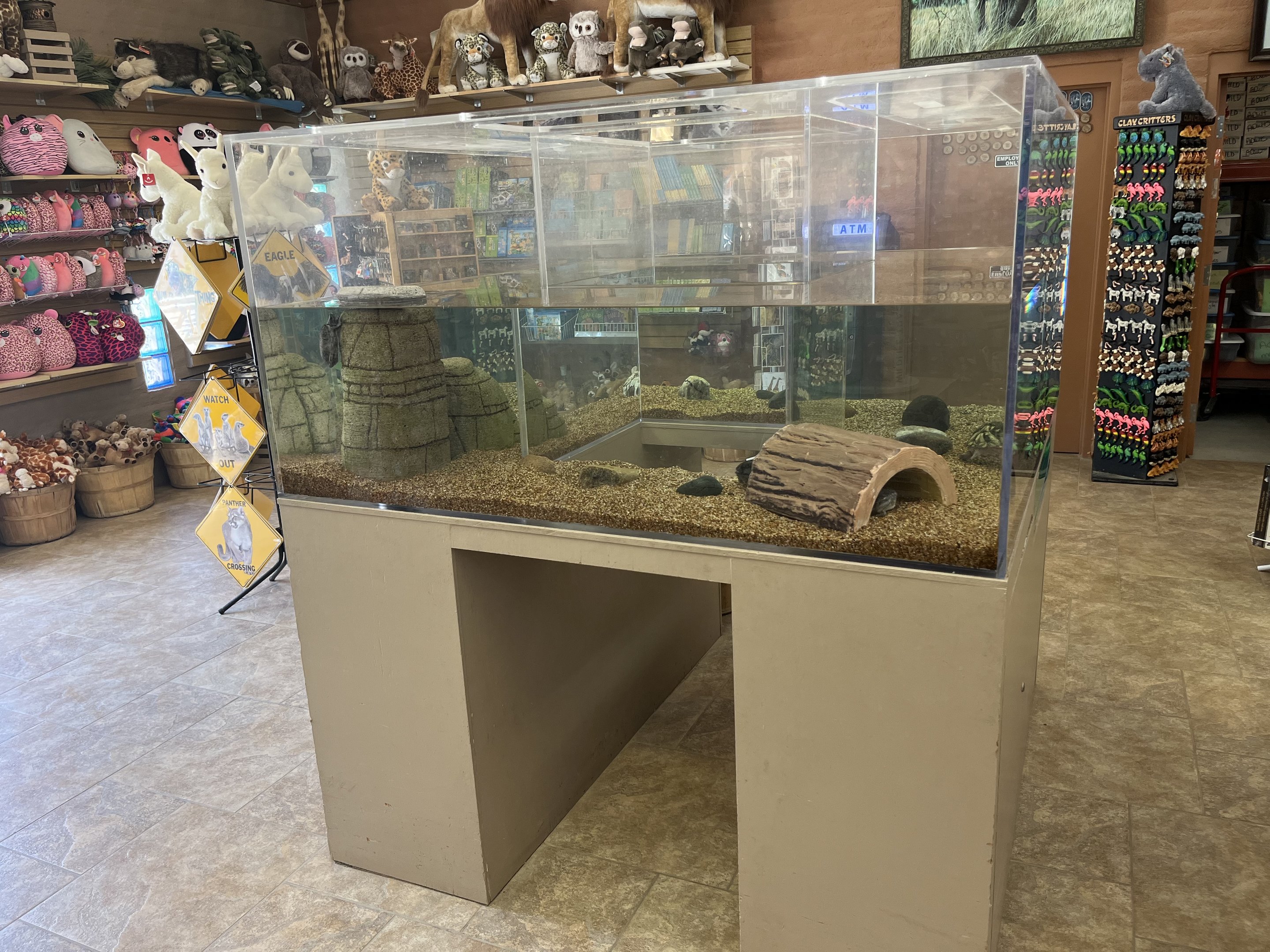 Gift Shop Aquarium Tank #1