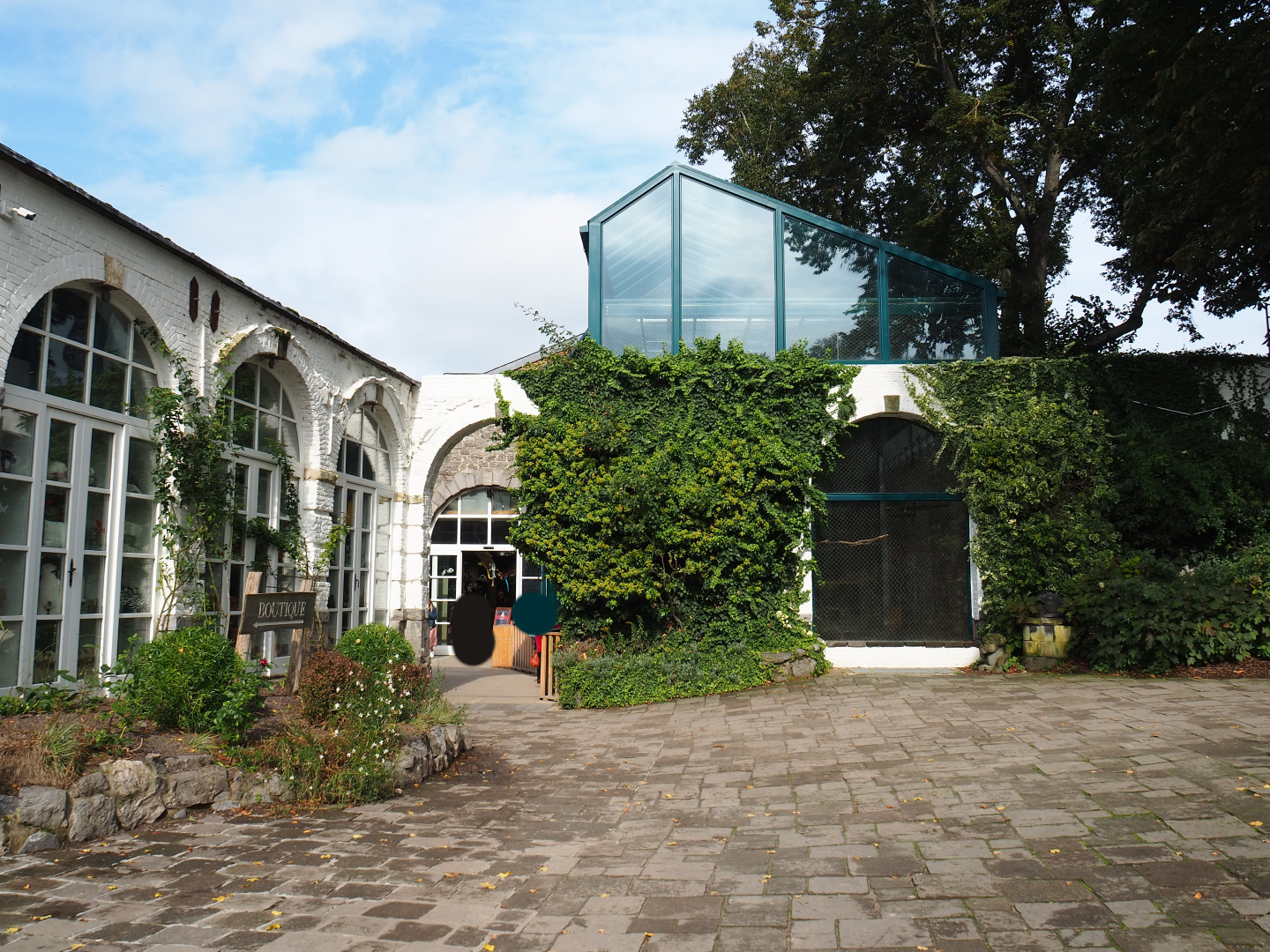 Gift shop buildings and side of the Lear's macaw aviary, 2019-10-05