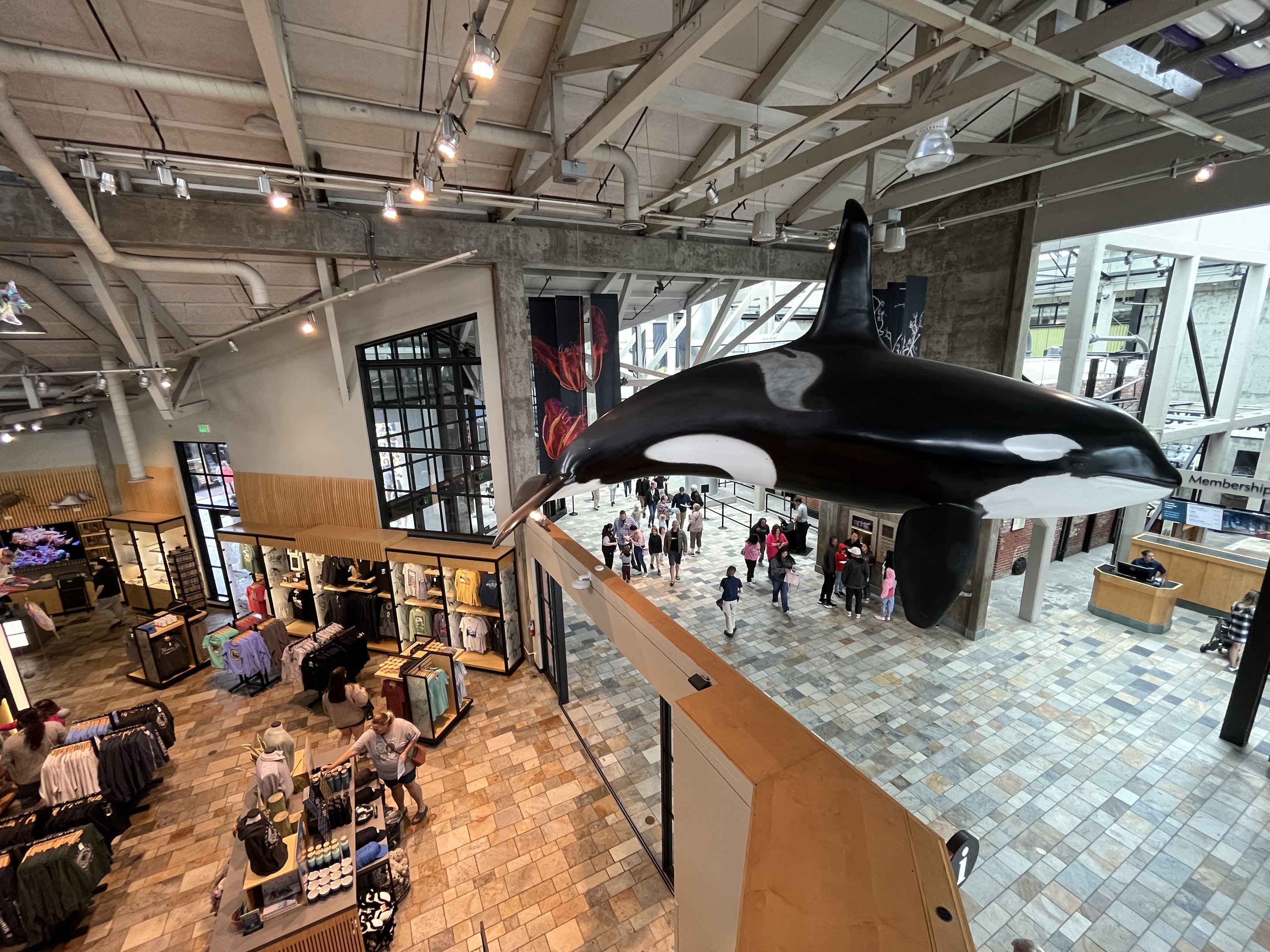 Gift Shop + Central Hallway
