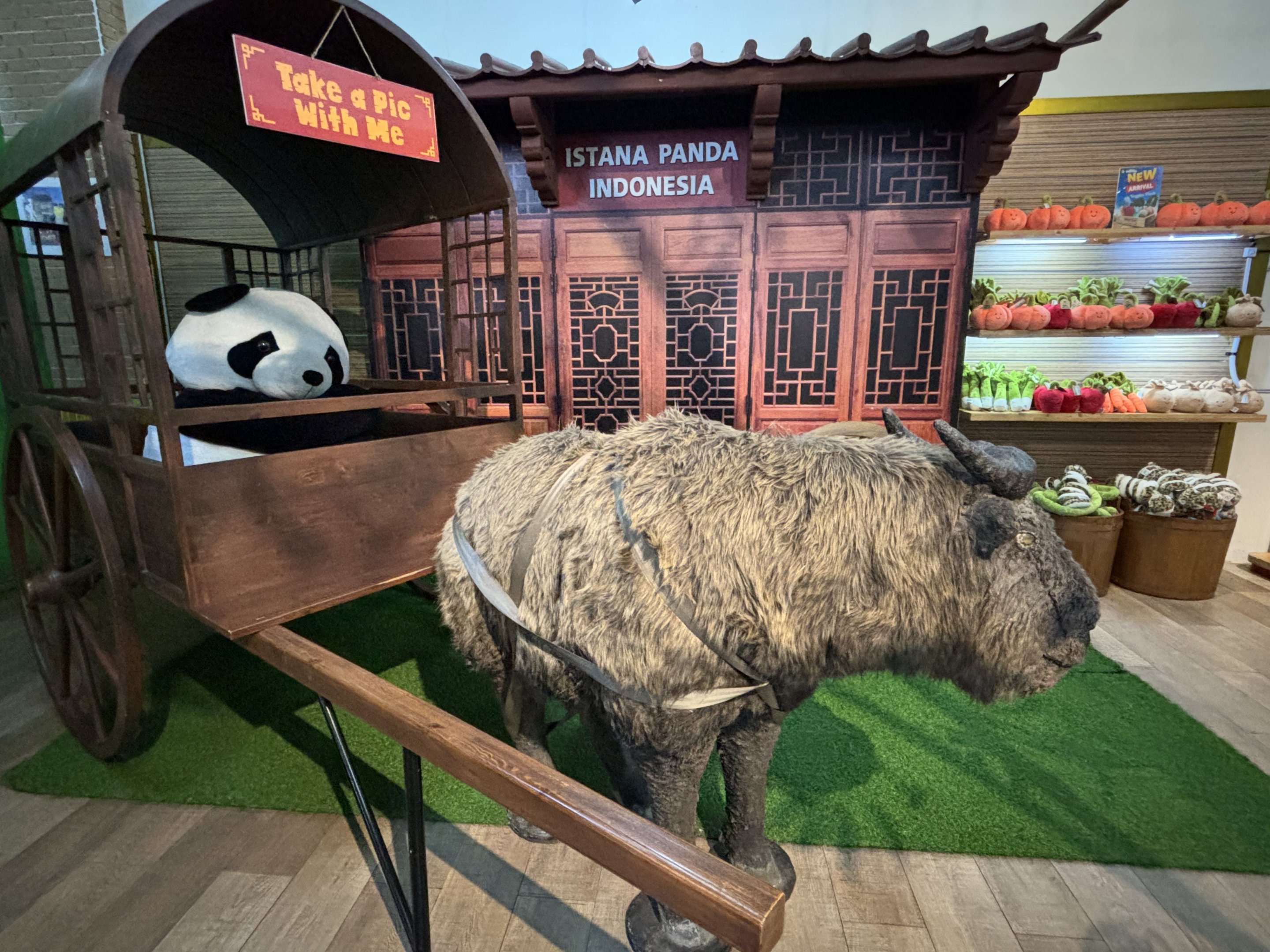 Gift Shop - Giant Panda Complex