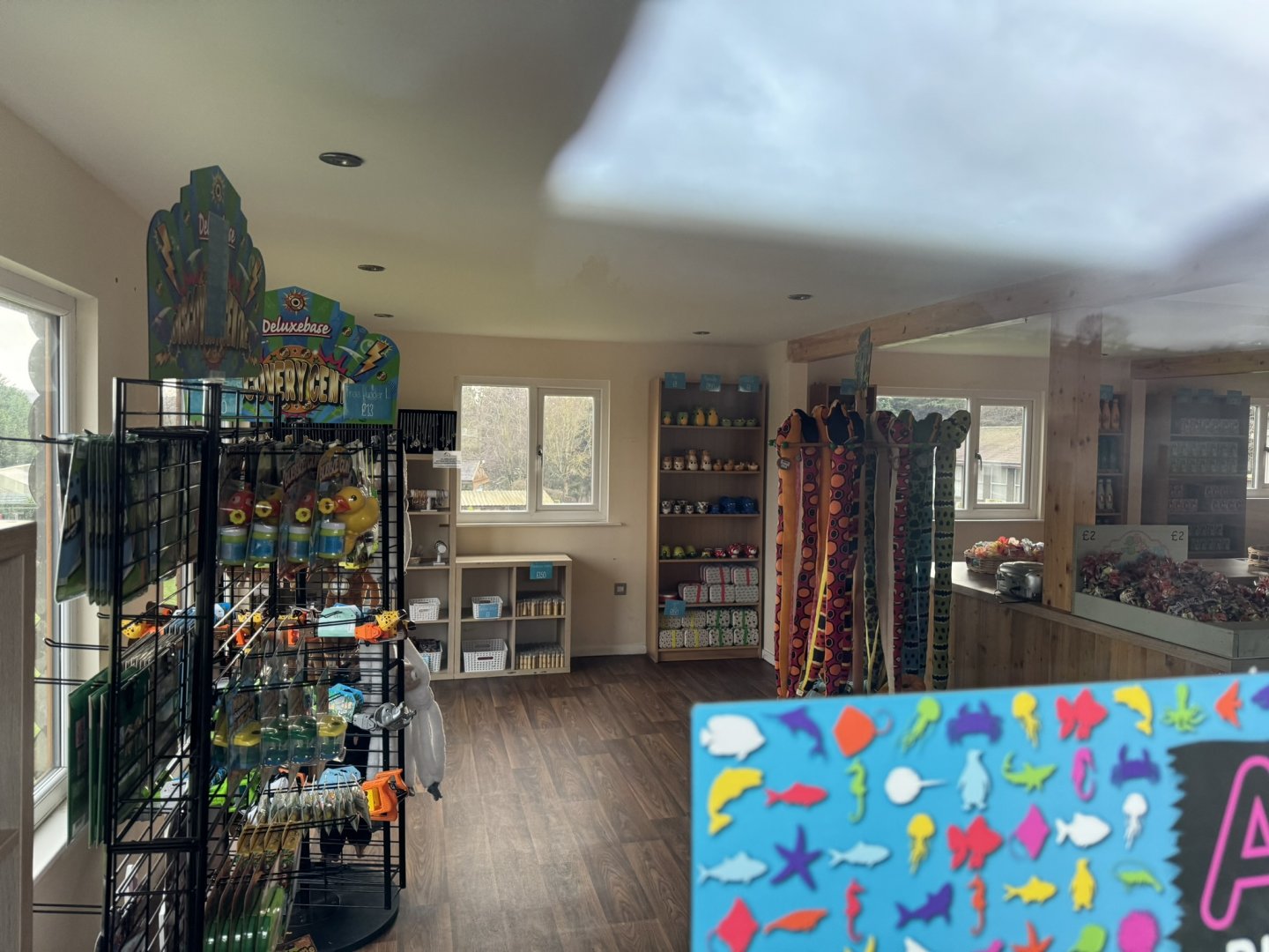 Gift Shop Interior at Ponderosa Zoo (January 2024)