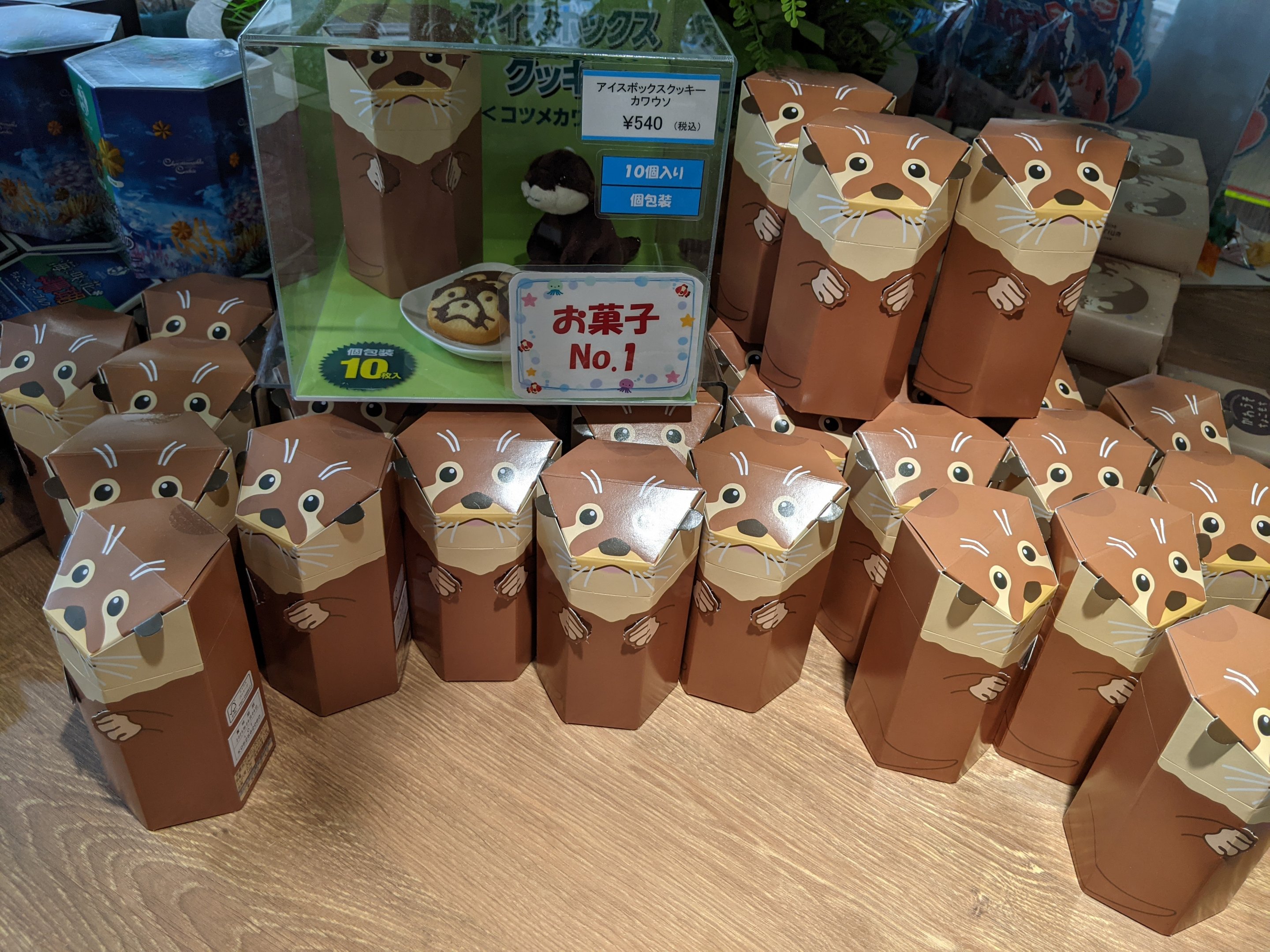 Gift shop - otter cookies