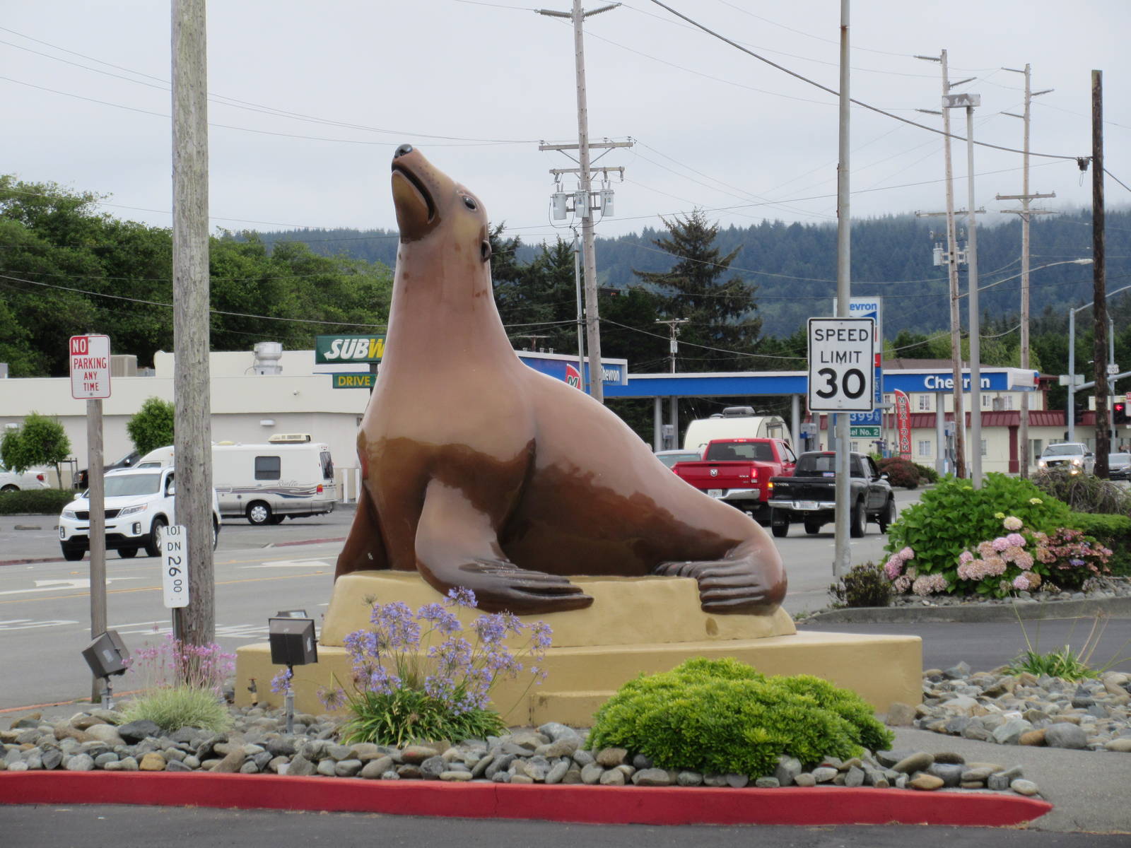 Gigantic Sea Lion - in aquarium parking lot