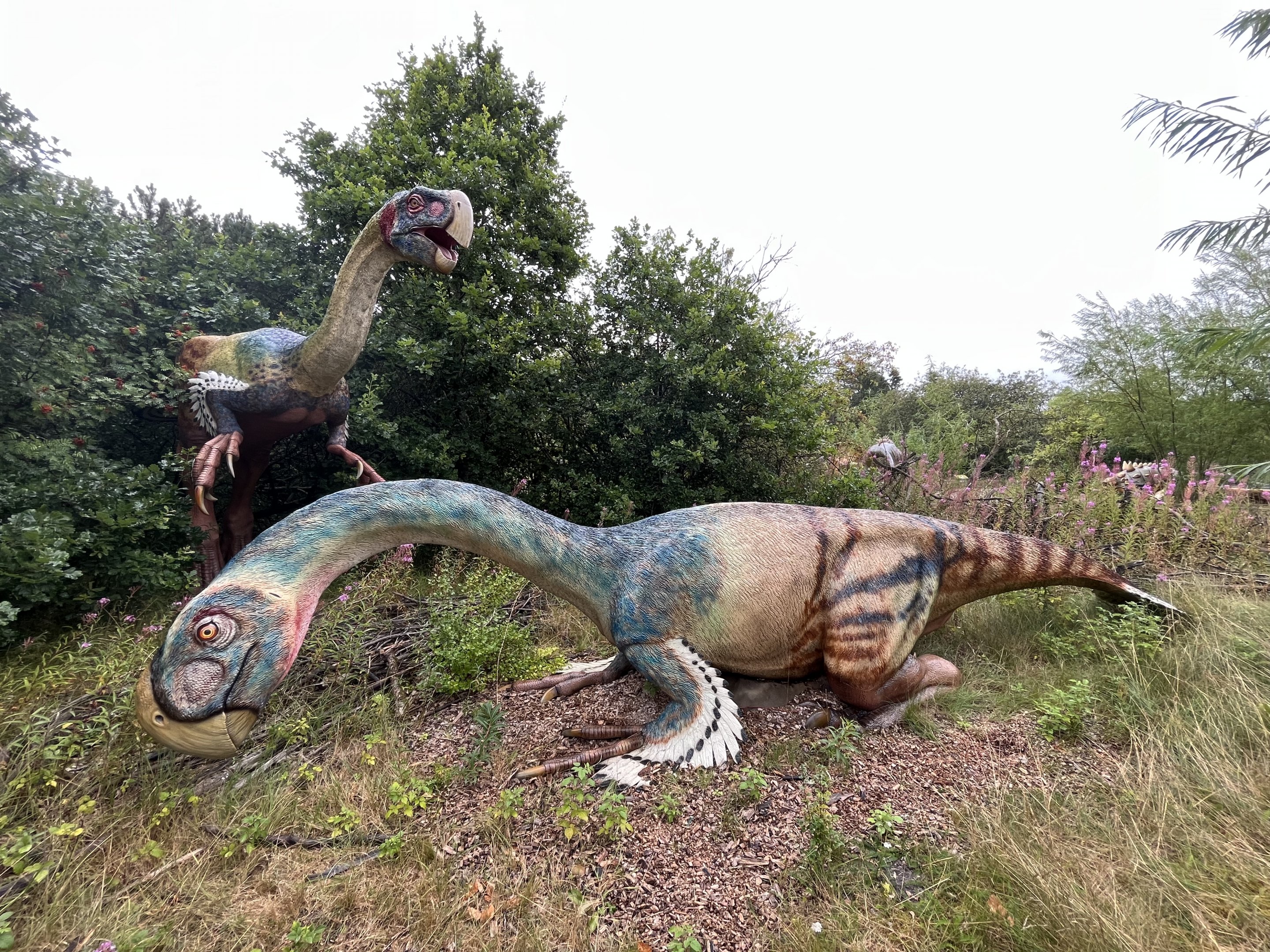 Gigantoraptor