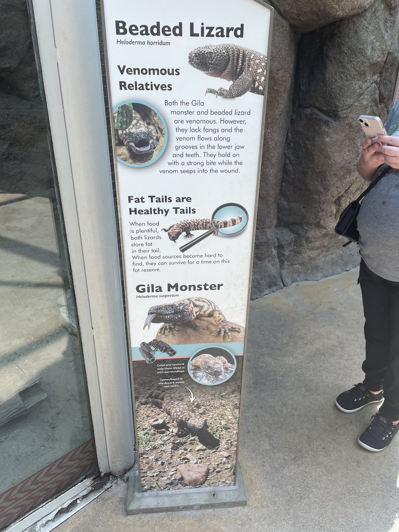 Gila Monster and Beaded Lizard Signage