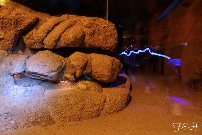 gila monster by flashlight