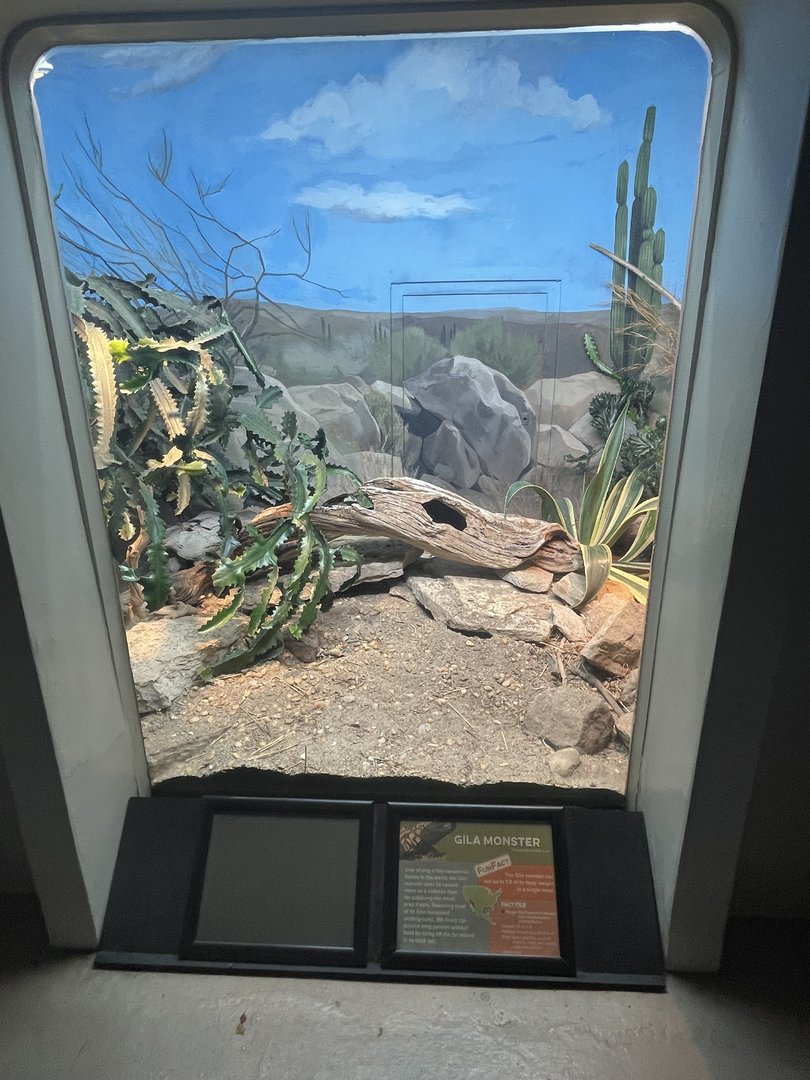 Gila Monster Enclosure (no show)