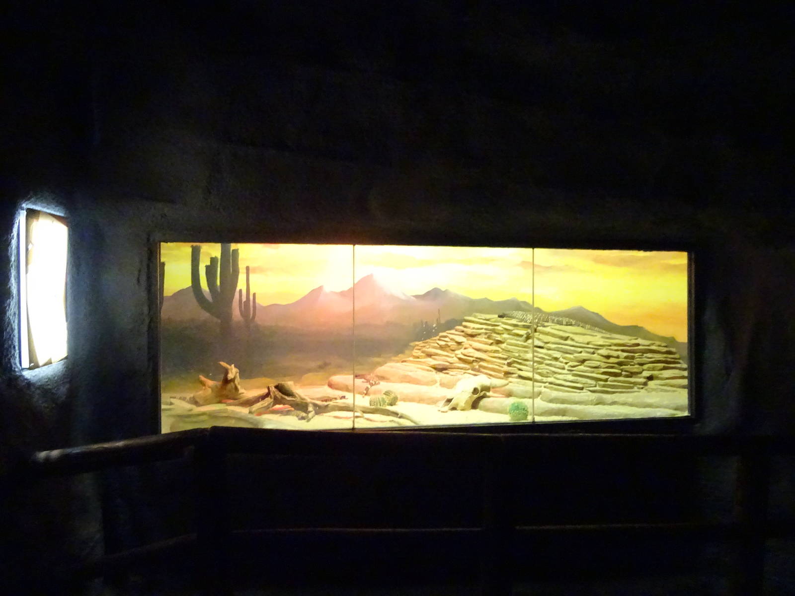 Gila Monster Exhibit at Busch Gardens Tampa