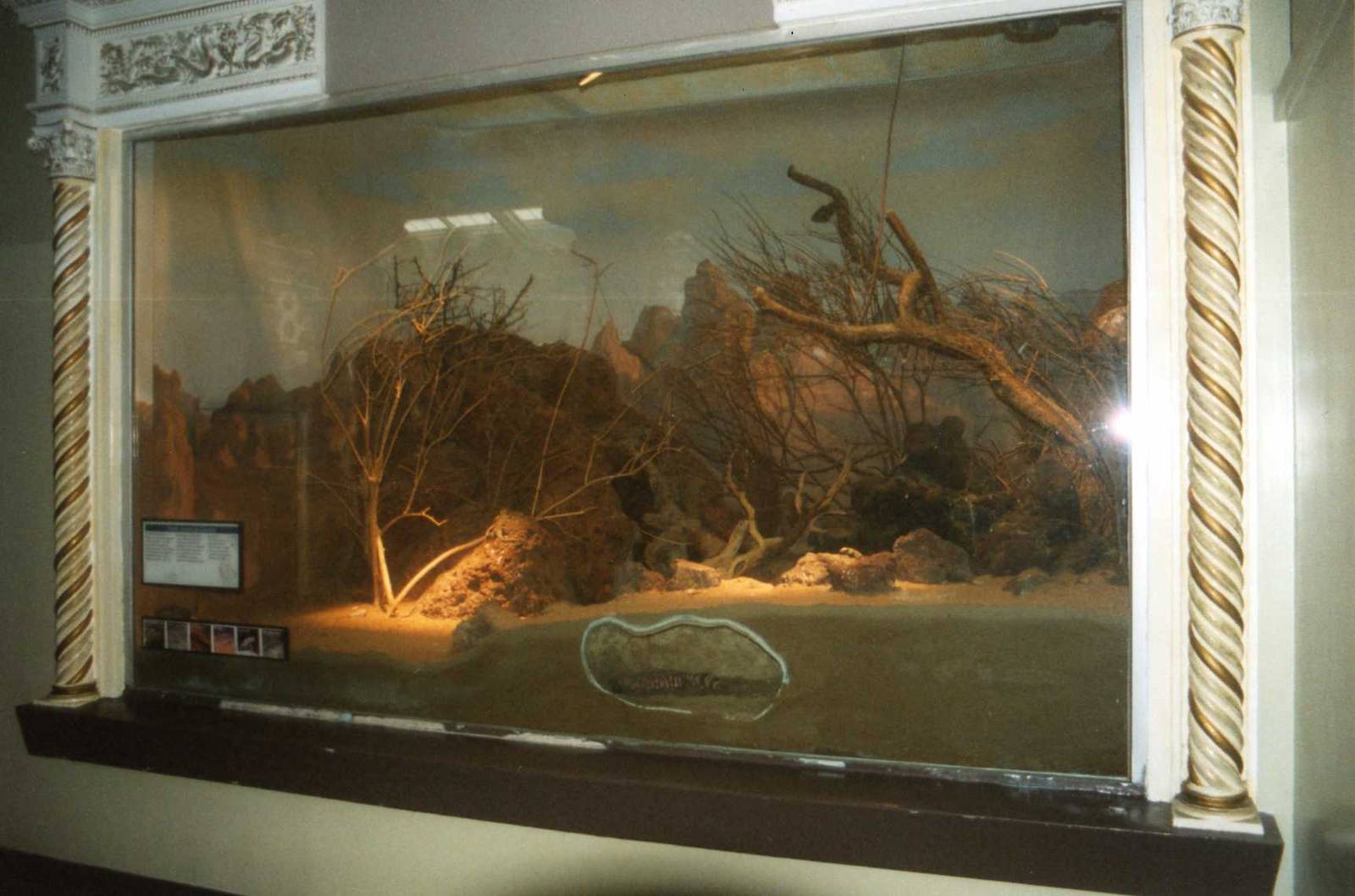 Gila Monster Exhibit