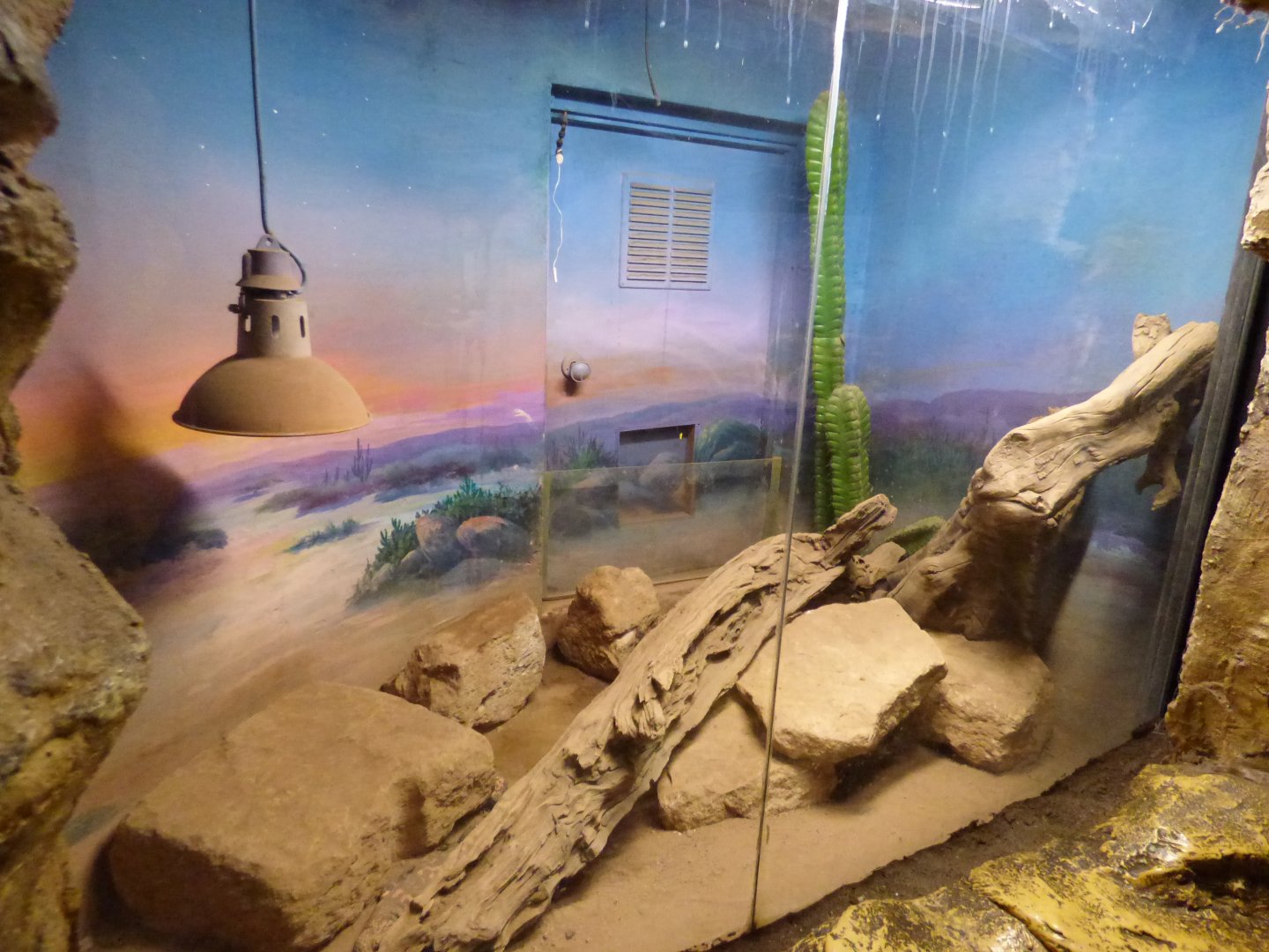 Gila Monster Exhibit