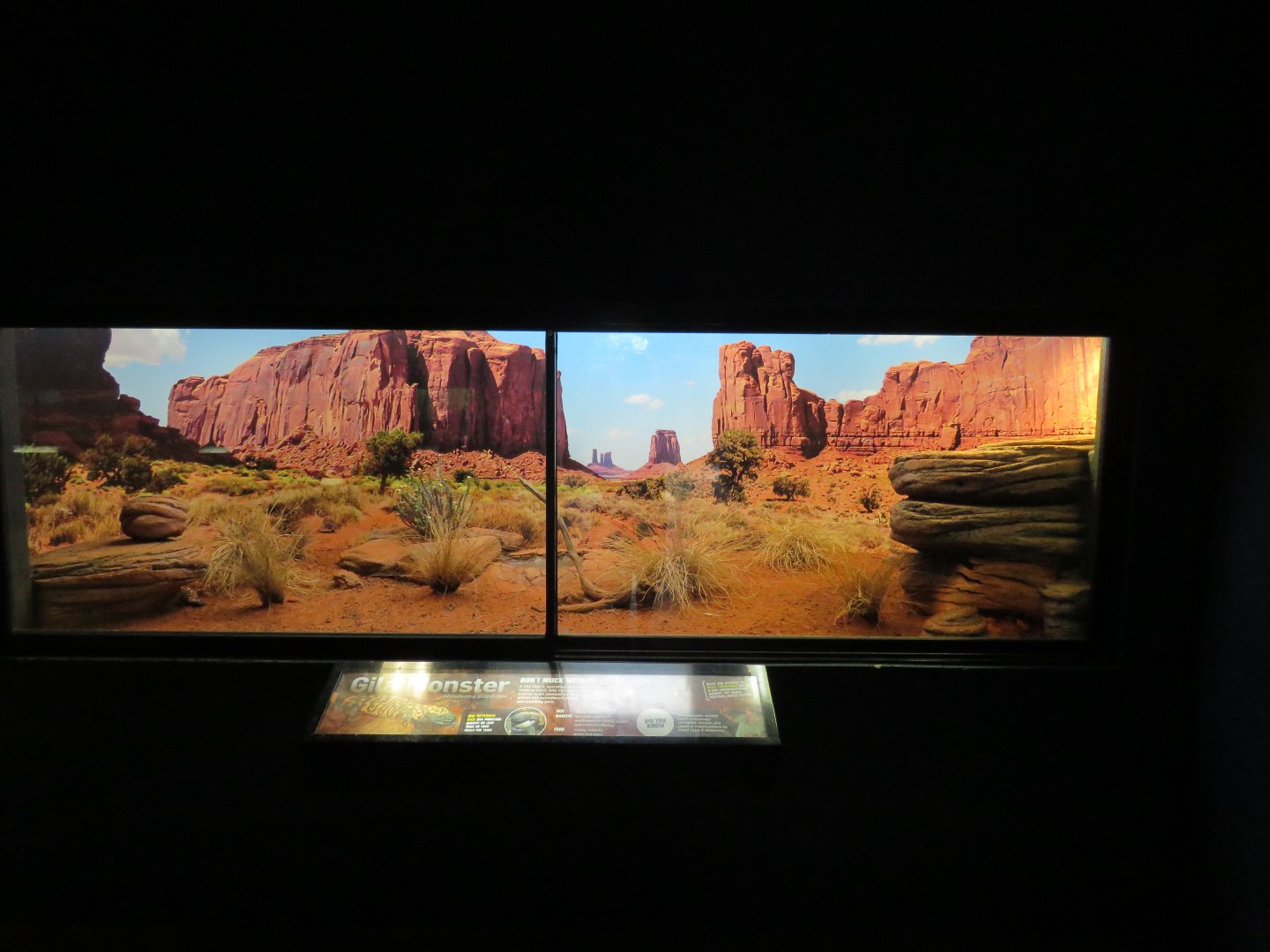 Gila Monster Exhibit