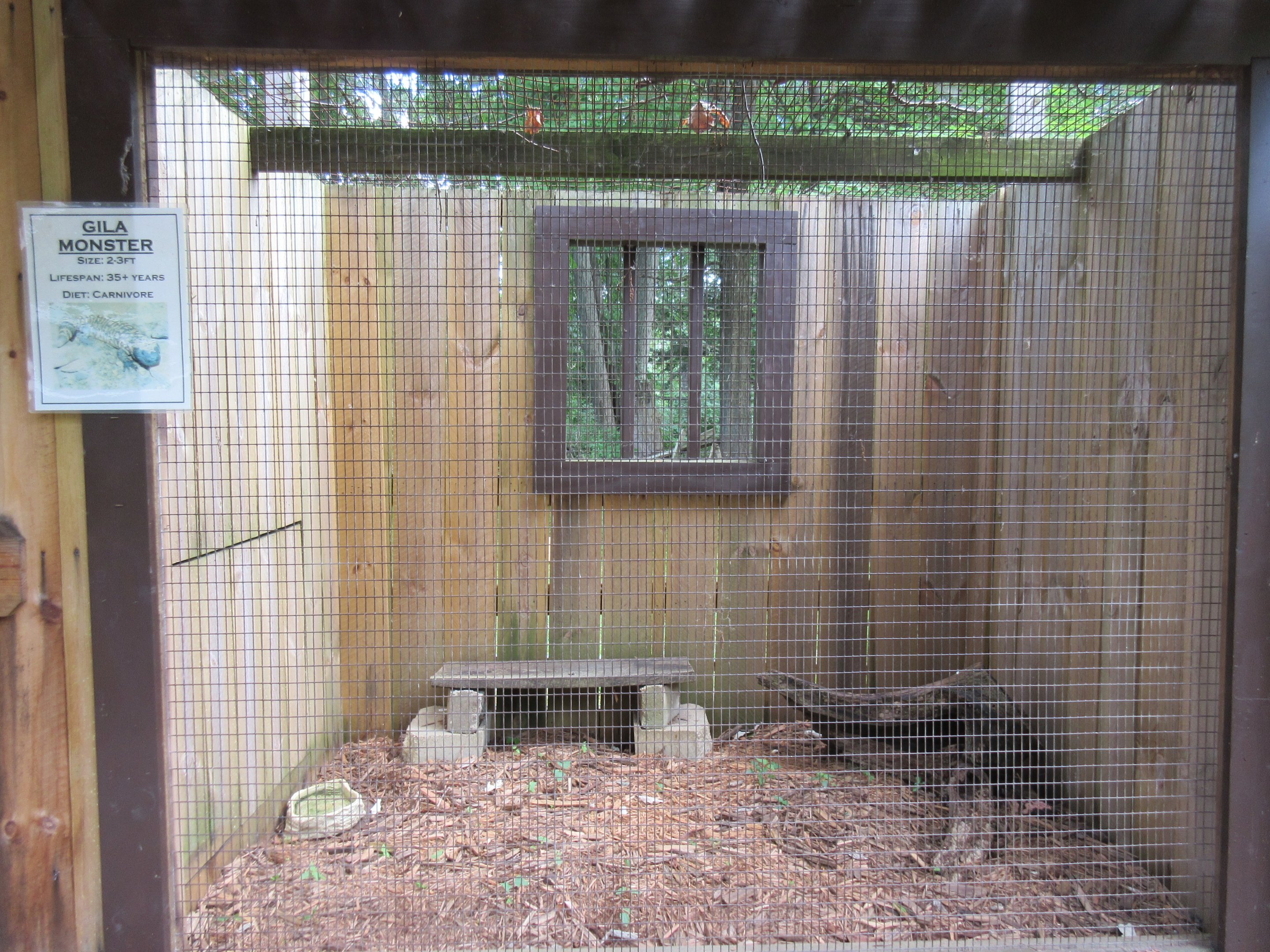 Gila Monster Exhibit