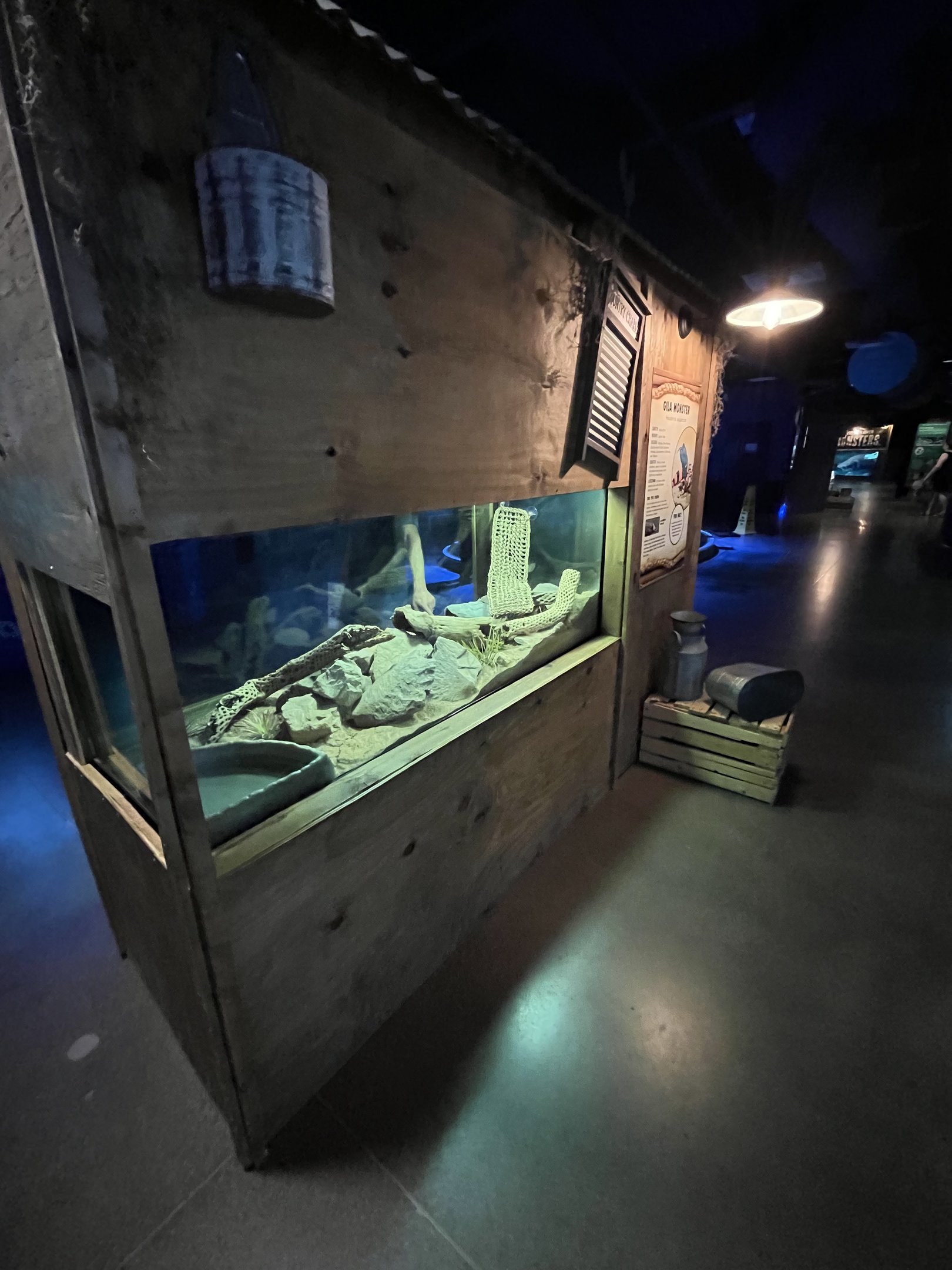 Gila Monster Exhibit