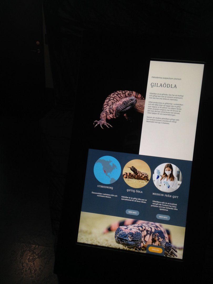 Gila Monster interactive sign