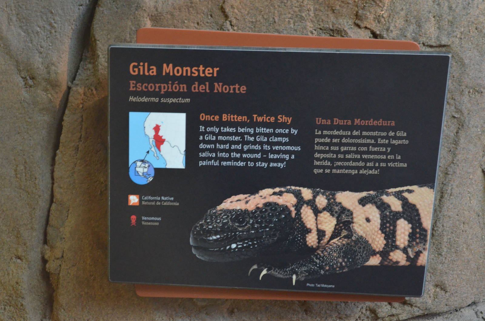 GILA MONSTER SIGNAGE