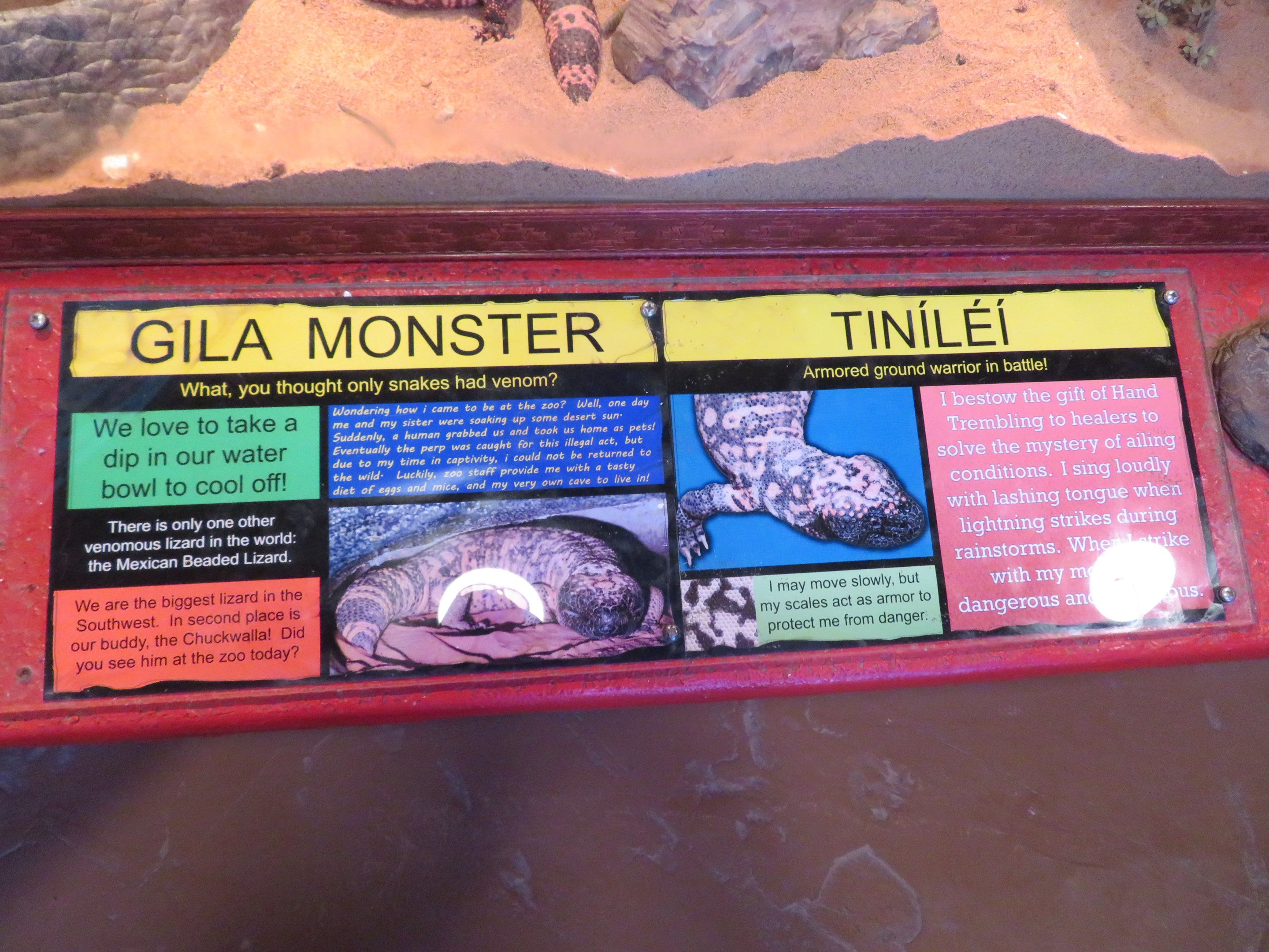 Gila Monster Signage